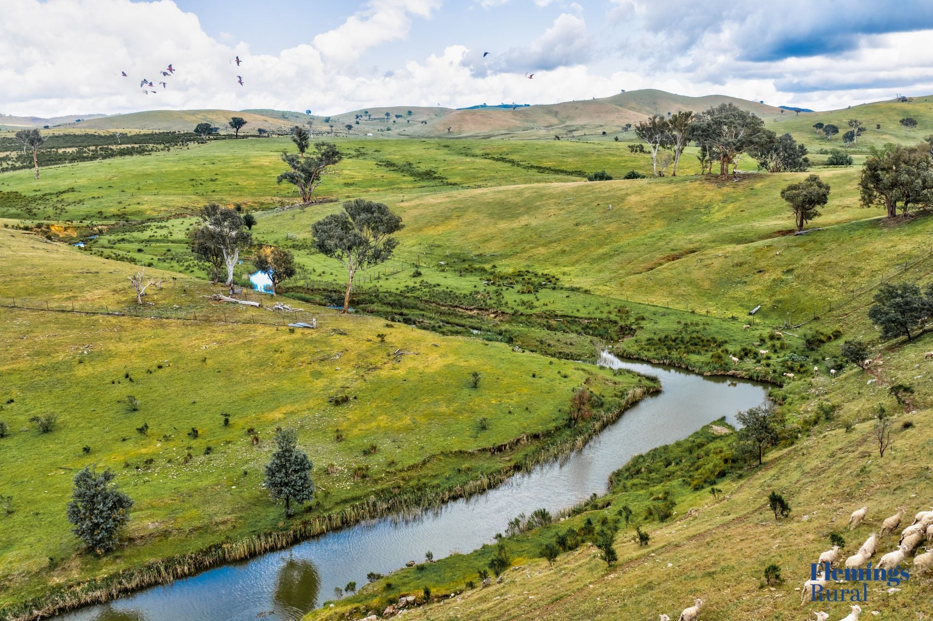 1479 Grassy Creek Road, Rugby NSW, Rugby - Thumbnail 3