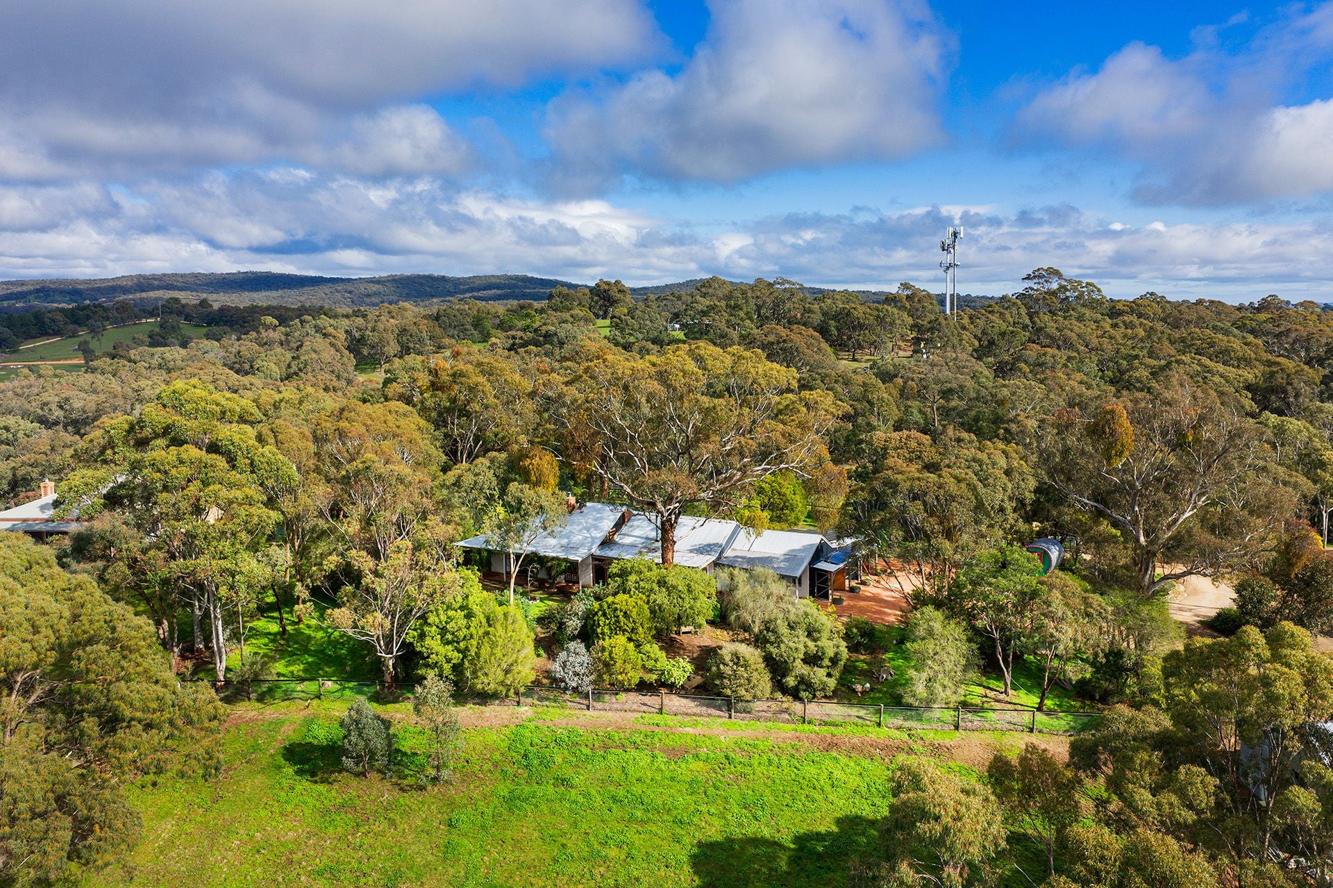 91 Wright Street, Elphinstone - Thumbnail 2