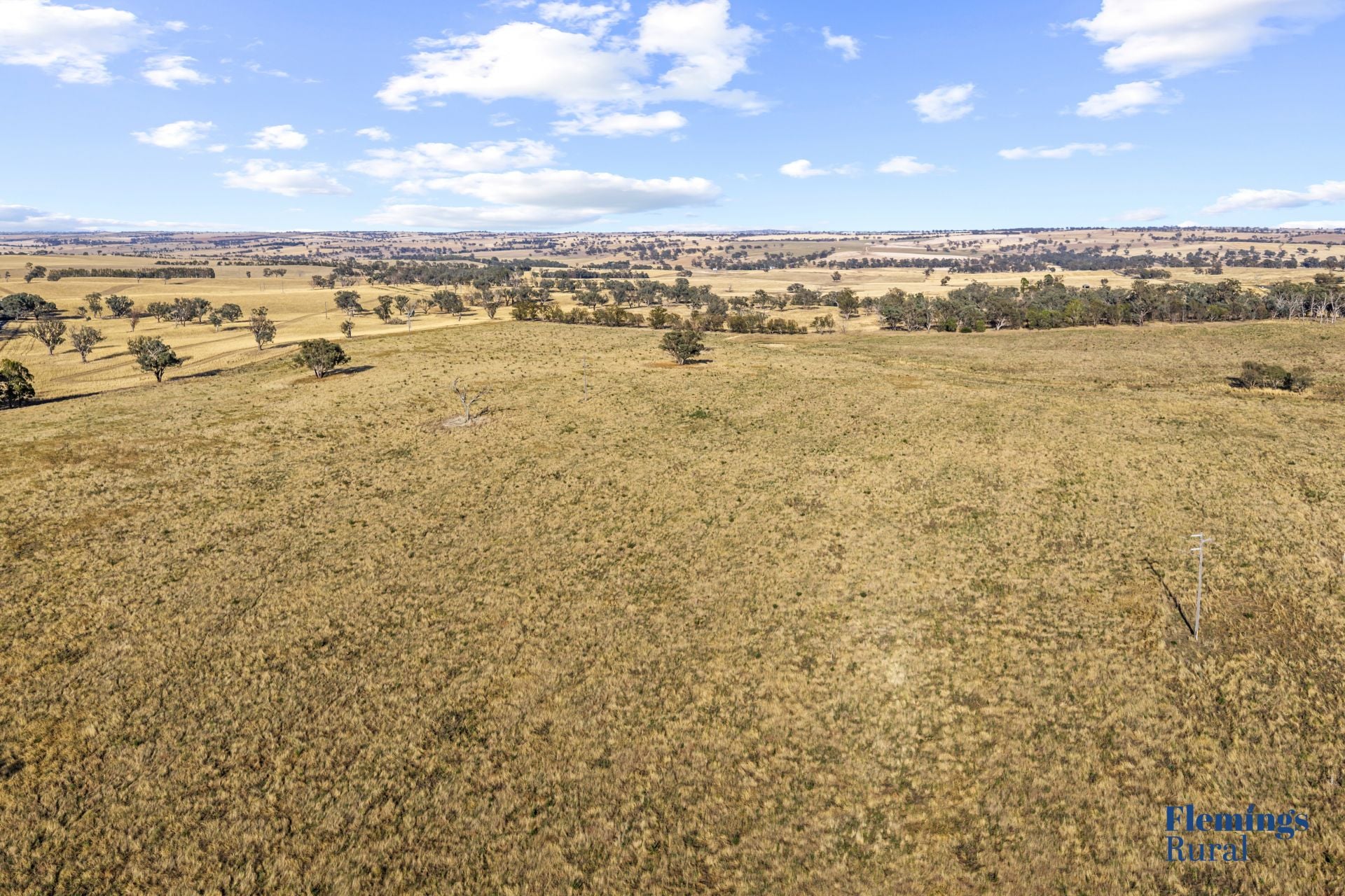 145 Cusack Road, Boorowa NSW, Boorowa - Thumbnail 8