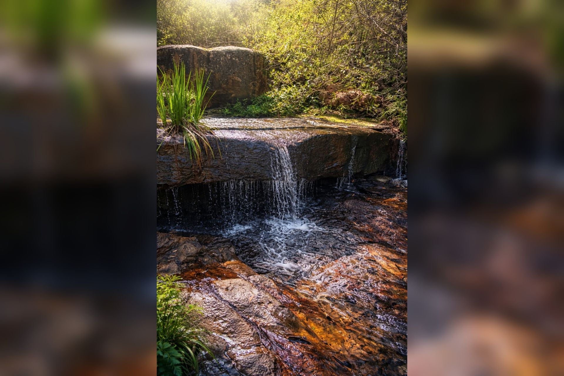 31 Mansfield Road Galston NSW, Galston - Thumbnail 8