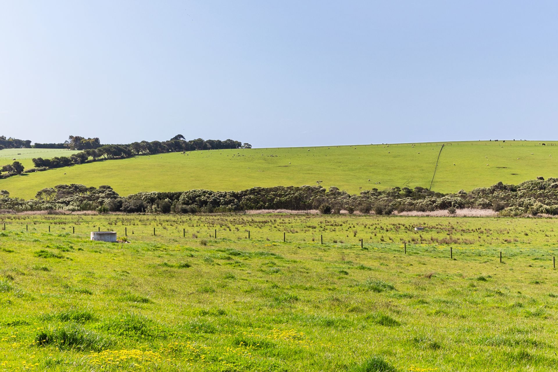 2091 Mornington-Flinders Road, Flinders, Flinders - Thumbnail 4