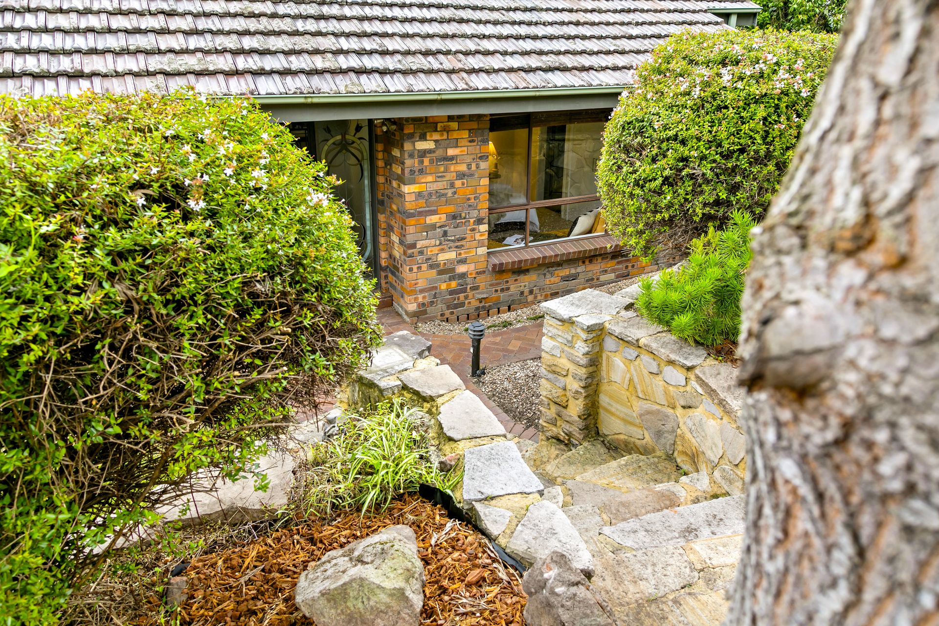 9 Binda Street, Keiraville, Keiraville - Thumbnail 4