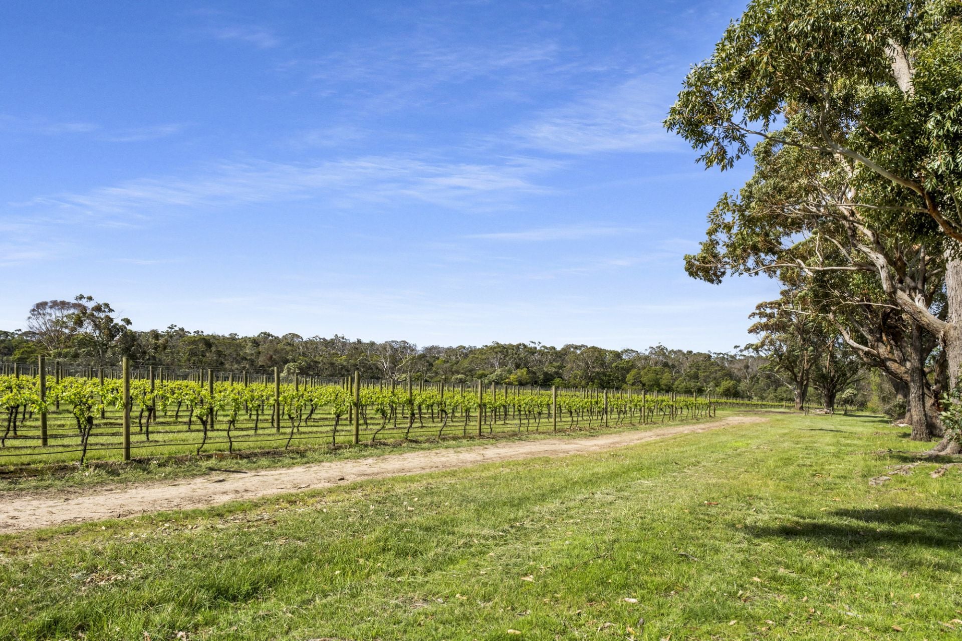 8 Bittern-Dromana Road, Bittern, Bittern - Thumbnail 4