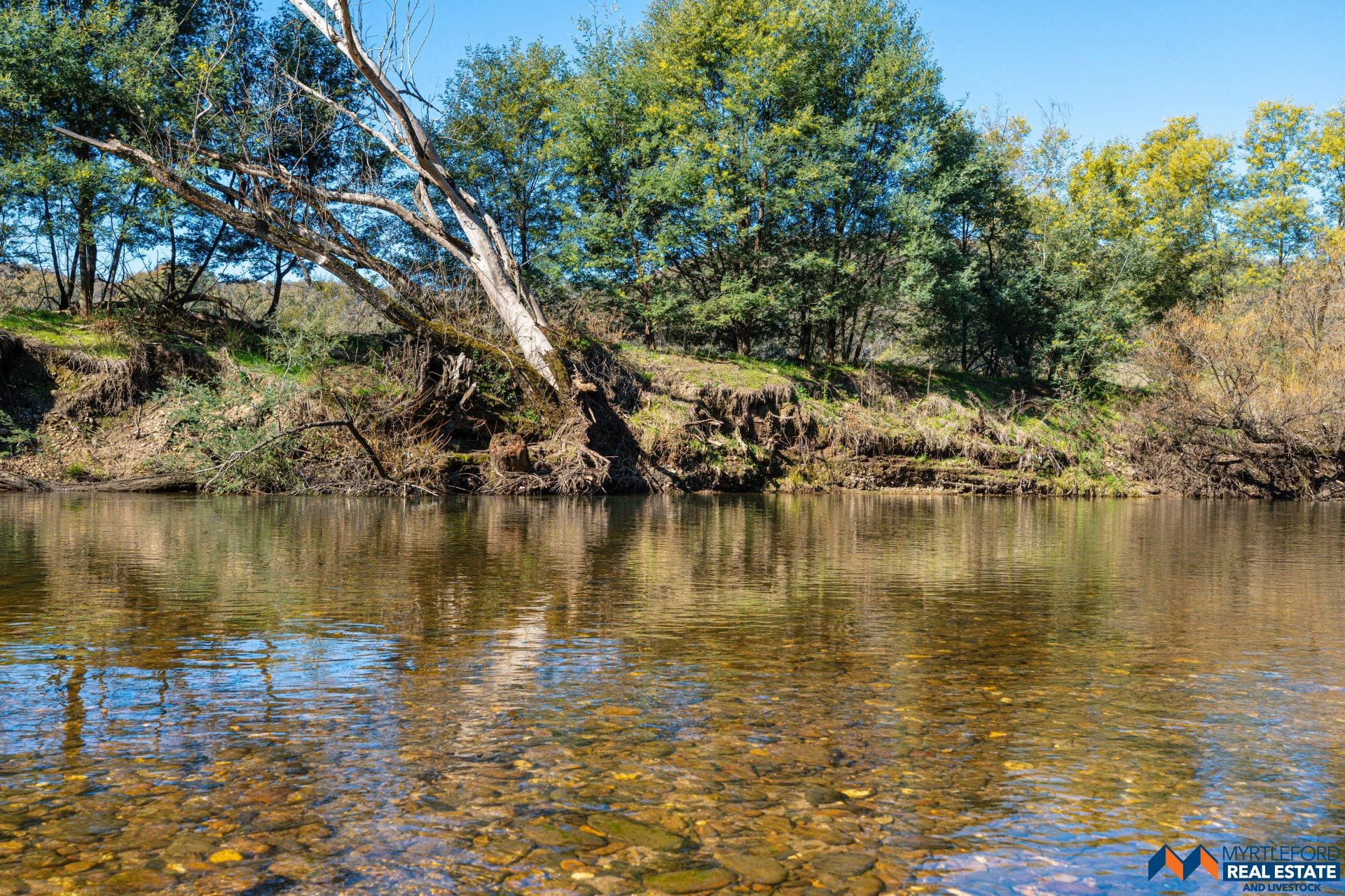 367 Merriang South Road, MYRTLEFORD, Myrtleford - Thumbnail 6