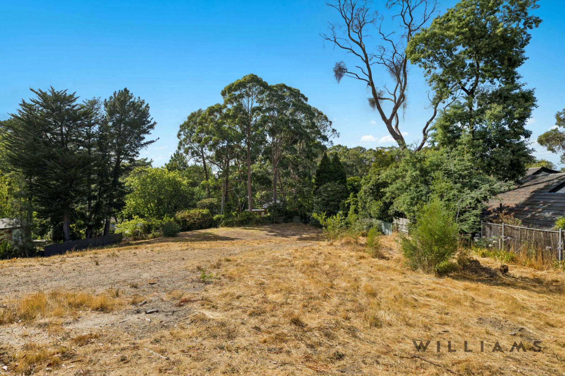 53 Mabel Street Stirling SA, Stirling - Thumbnail 5