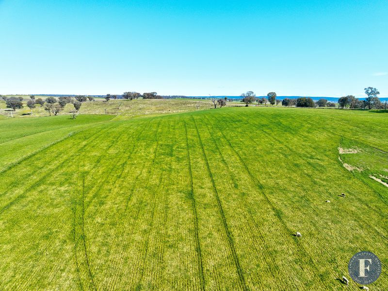 Lot 4 Geegullagong Roads, Murringo NSW, Murringo - Thumbnail 3