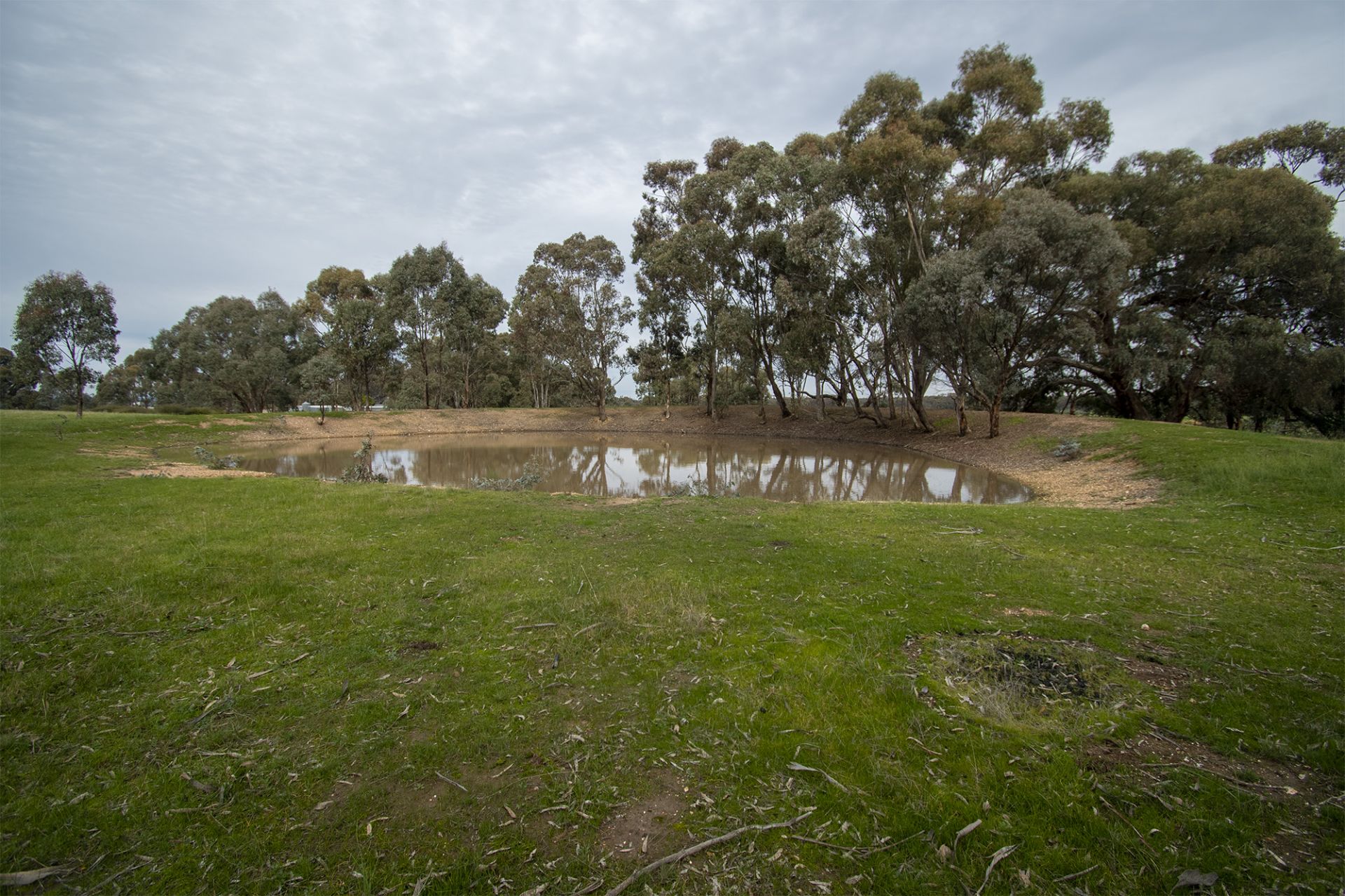 67 Carisbrook-Eddington Road, Carisbrook - Thumbnail 7