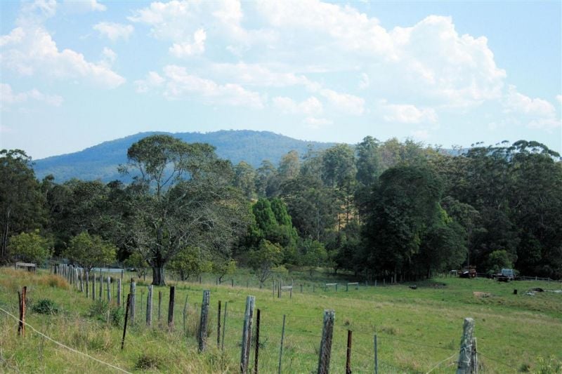 141 Duffus Road UPPER CORINDI NSW, Upper Corindi - Thumbnail 5