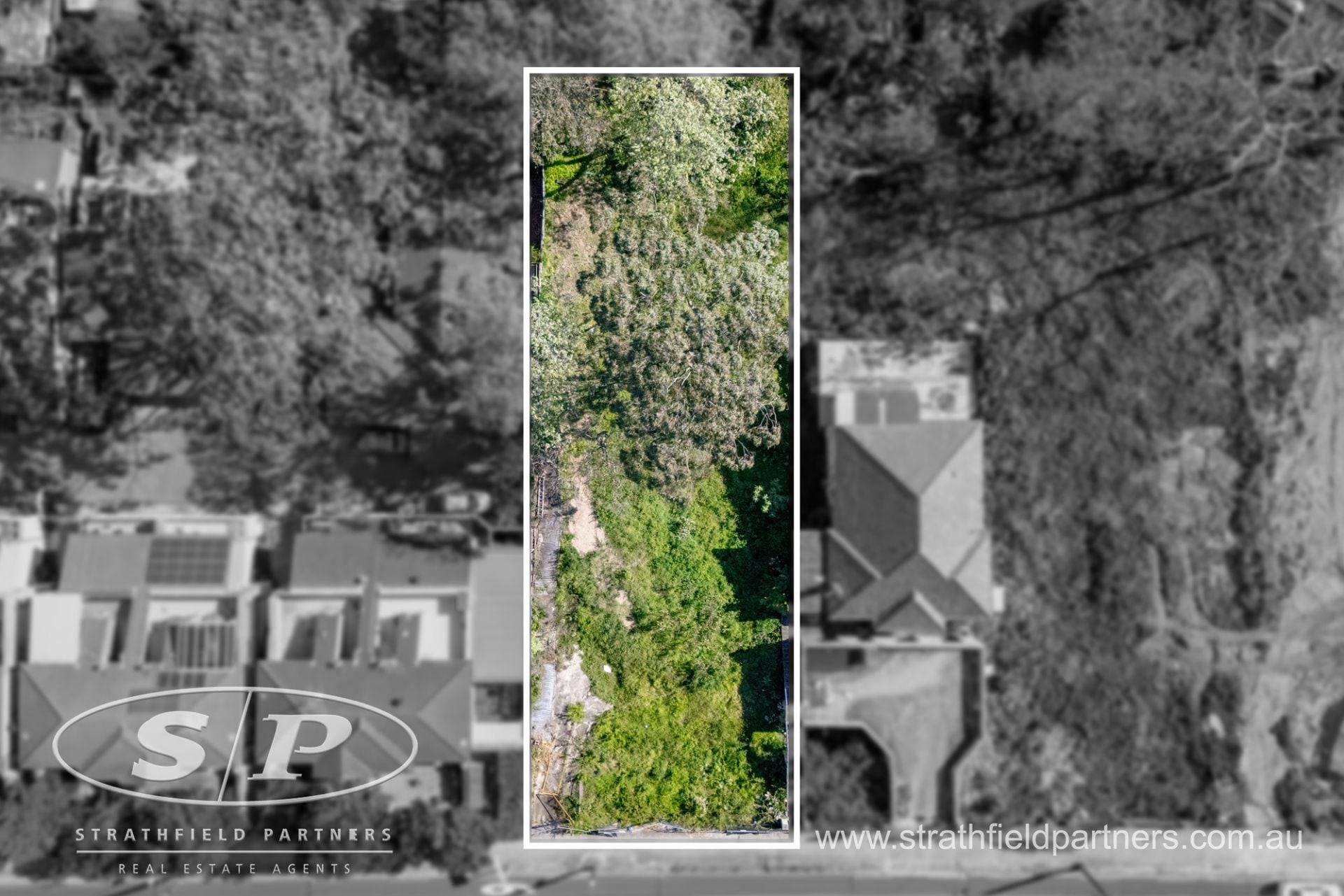 298 Blaxland Road, Ryde, Ryde - Thumbnail 6