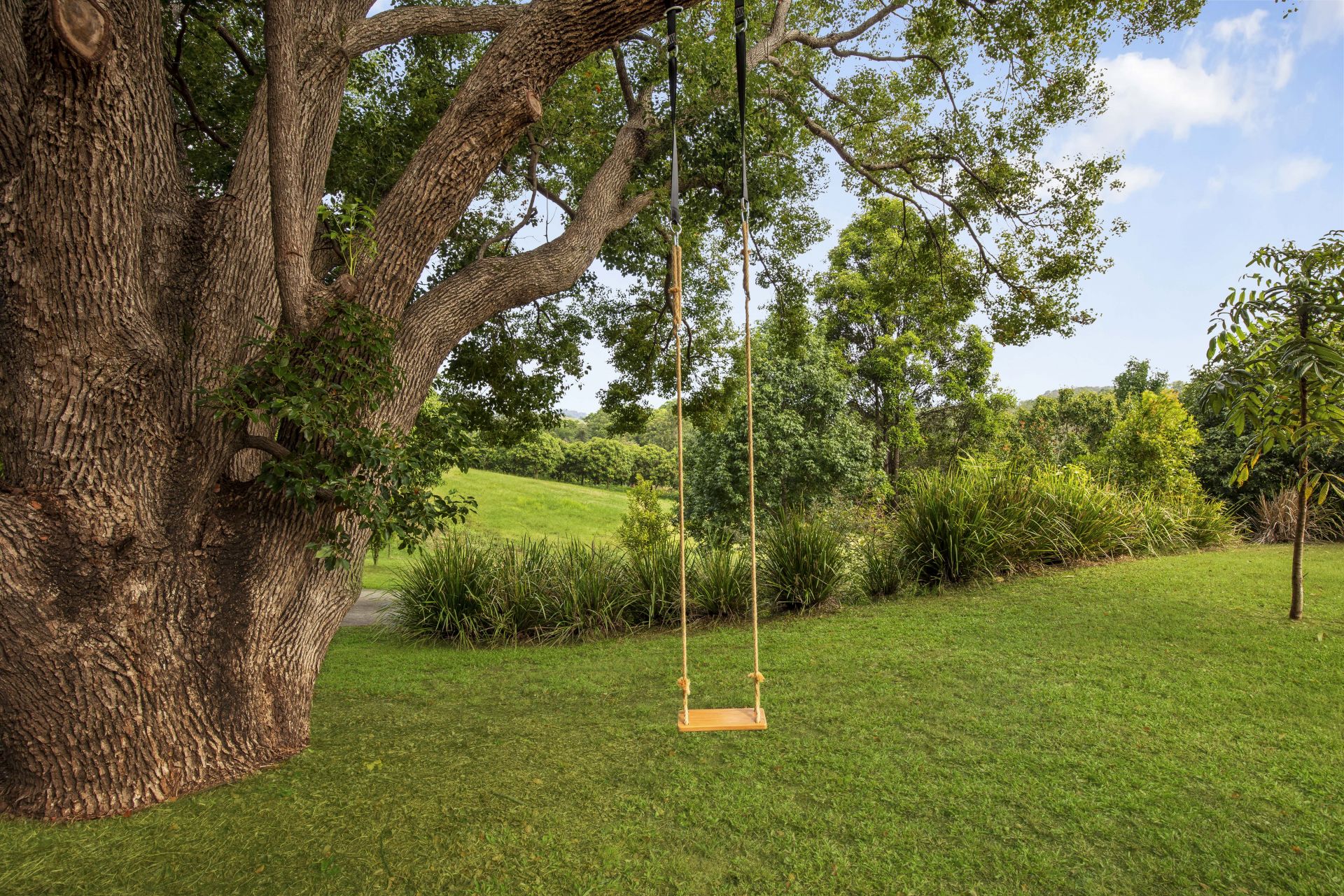 475 Wilsons Pocket Road, Wilsons Pocket - Thumbnail 7