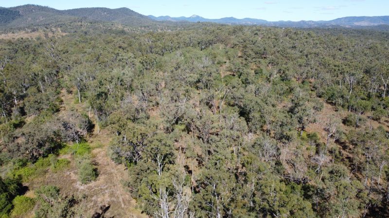 67 Bawdens Road, Moolboolaman, Moolboolaman - Thumbnail 2