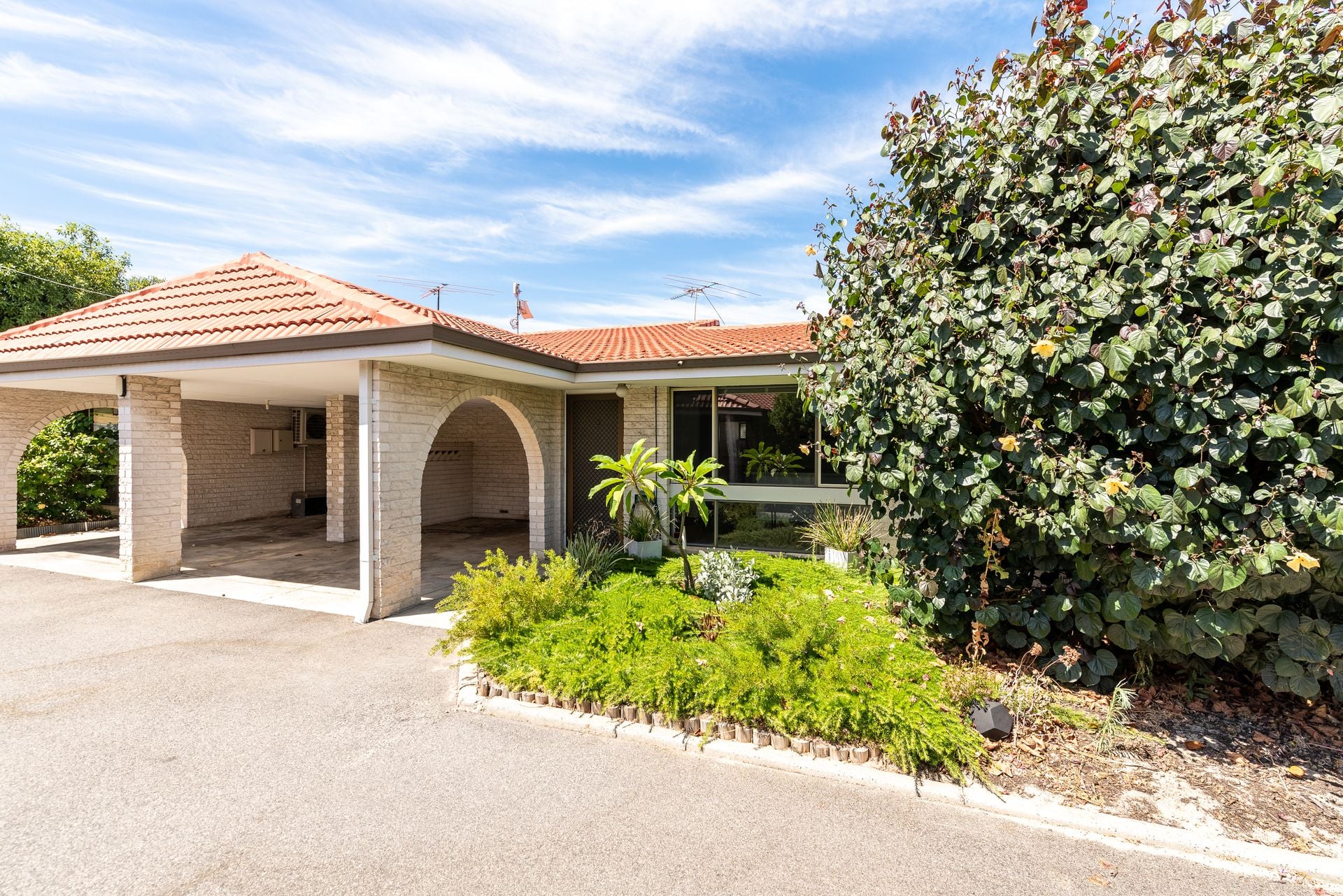 2/101 Waterloo Street Tuart Hill WA, Tuart Hill - Thumbnail 2