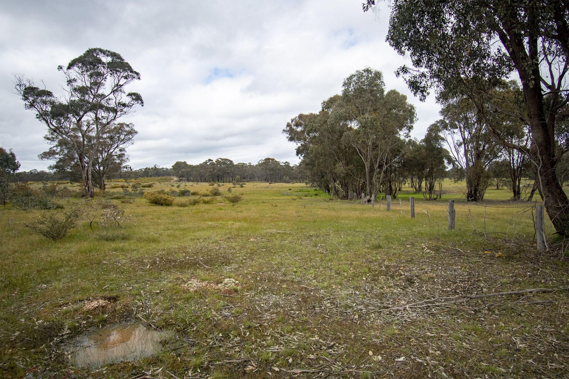 28/123 Logan Road, Alma - Thumbnail 8