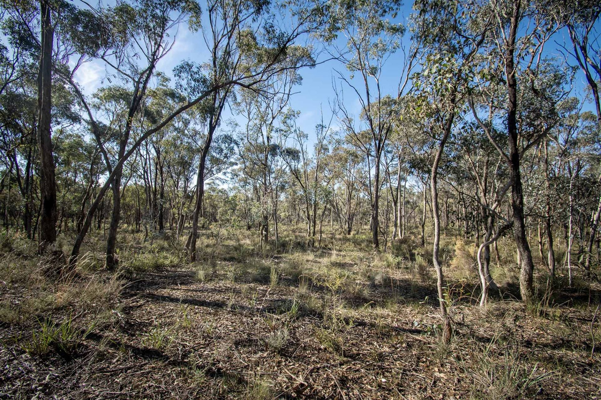 45 Lyle Lead Rd Moonlight Flat Via, Maryborough - Thumbnail 2