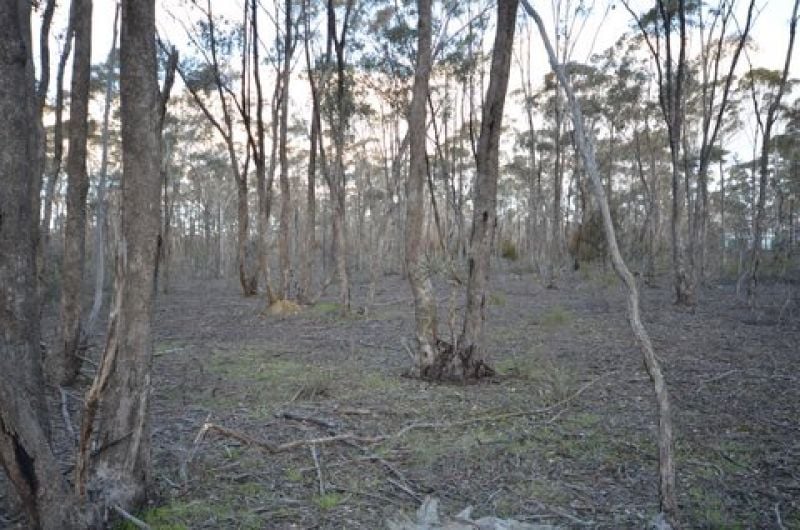 2/ Willy Milly Road Castlemaine VIC, Castlemaine - Thumbnail 5