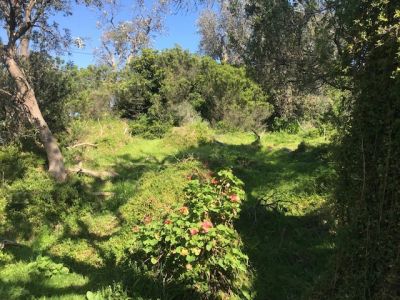 75 Condon Crescent, Venus Bay VIC, Venus Bay - Thumbnail 5