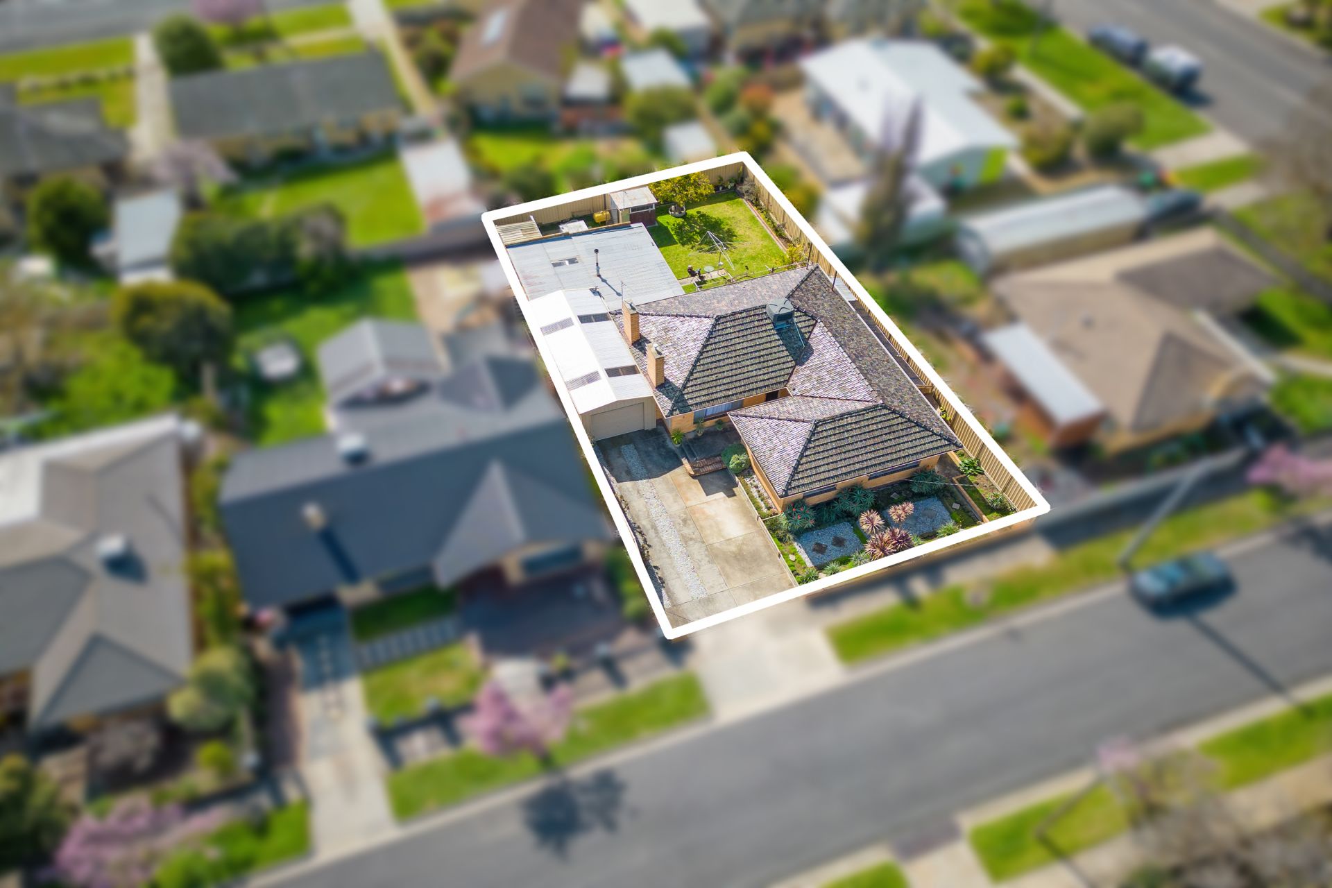 9 Monreith Avenue, Flora Hill, Flora Hill, Flora Hill - Thumbnail 3