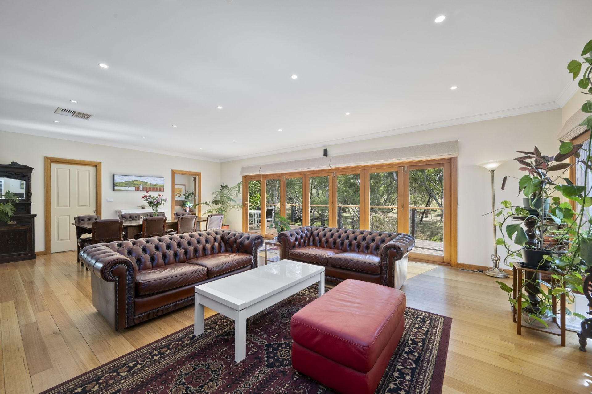 24 Bucknall Street, Carisbrook - Thumbnail 4