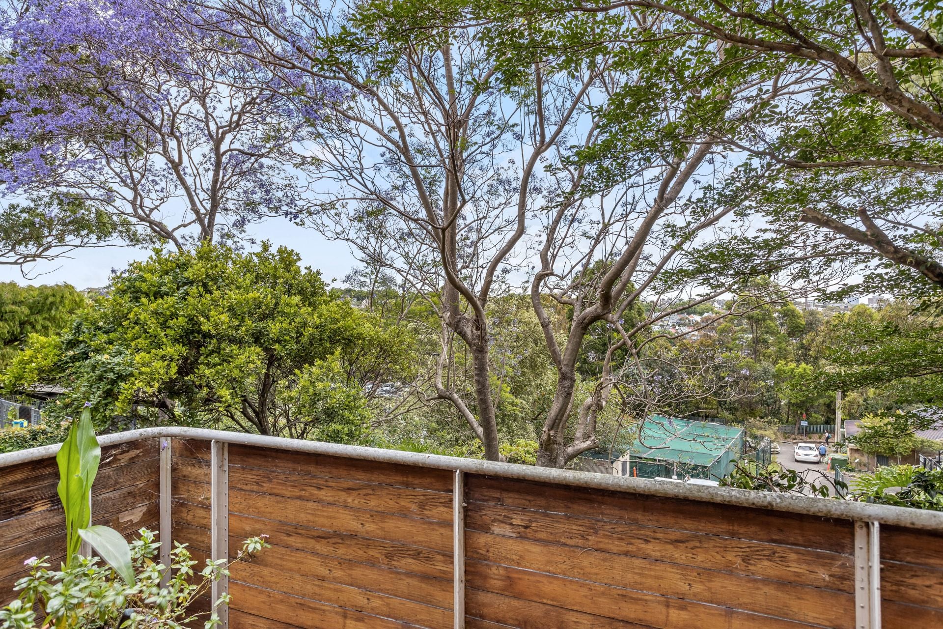 26 Thorne Street Edgecliff NSW, Edgecliff - Thumbnail 7