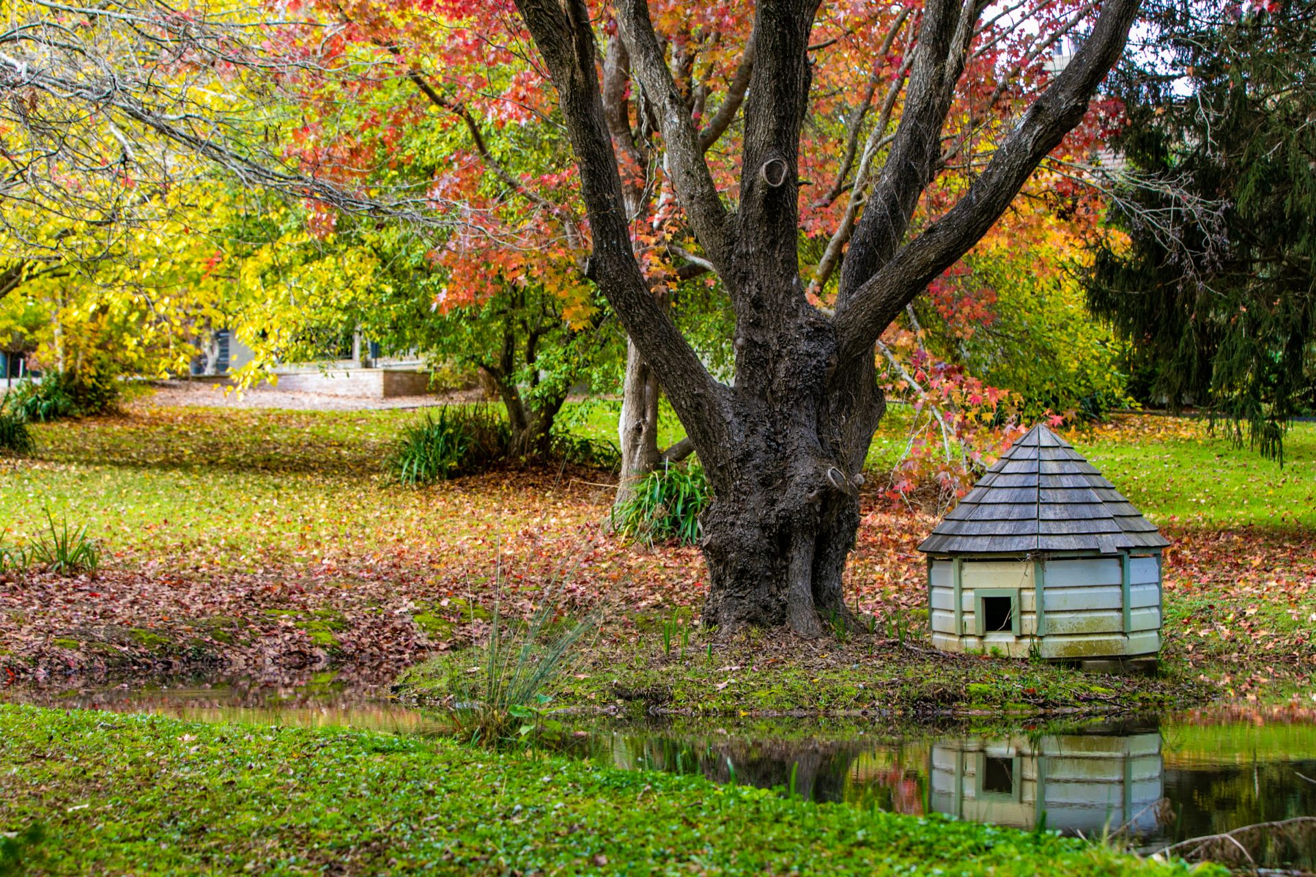 25 & 25a Werrington Street, Burradoo, Burradoo - Thumbnail 4