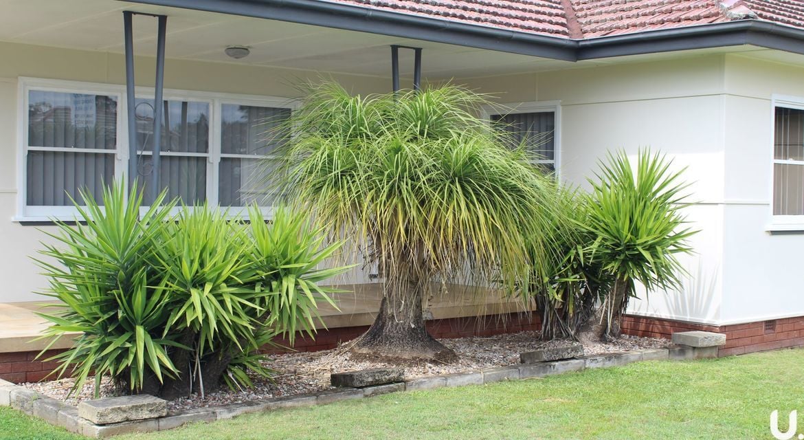 South Windsor 292 Macquarie Street
