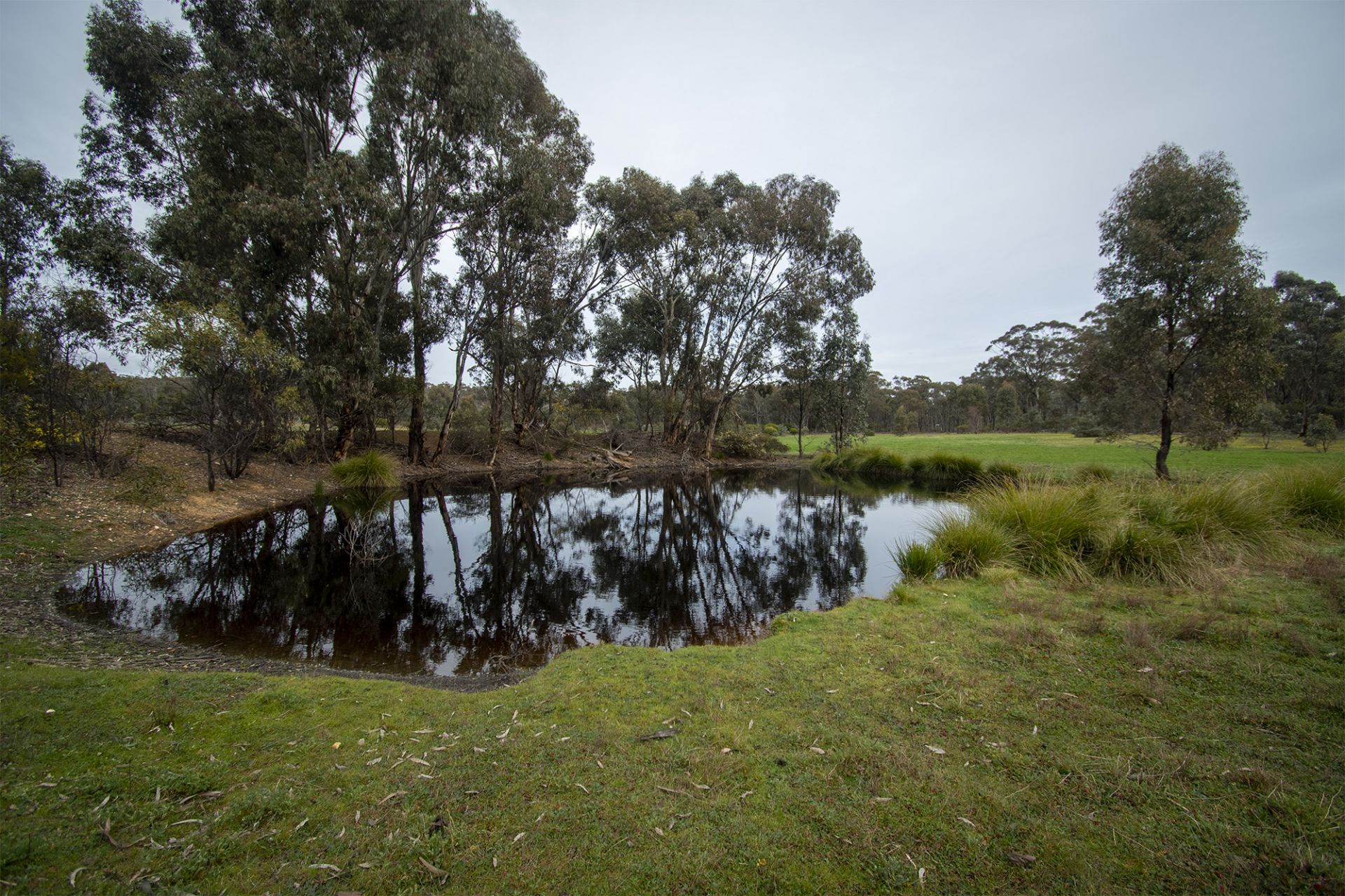 CA 31 - Clay Gully  Lane - McIntyre, Dunolly, Dunolly - Thumbnail 8