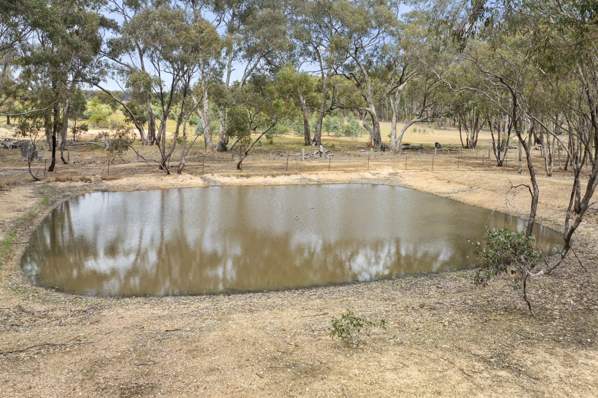 767 Maryborough Dunolly Road, Havelock - Thumbnail 5