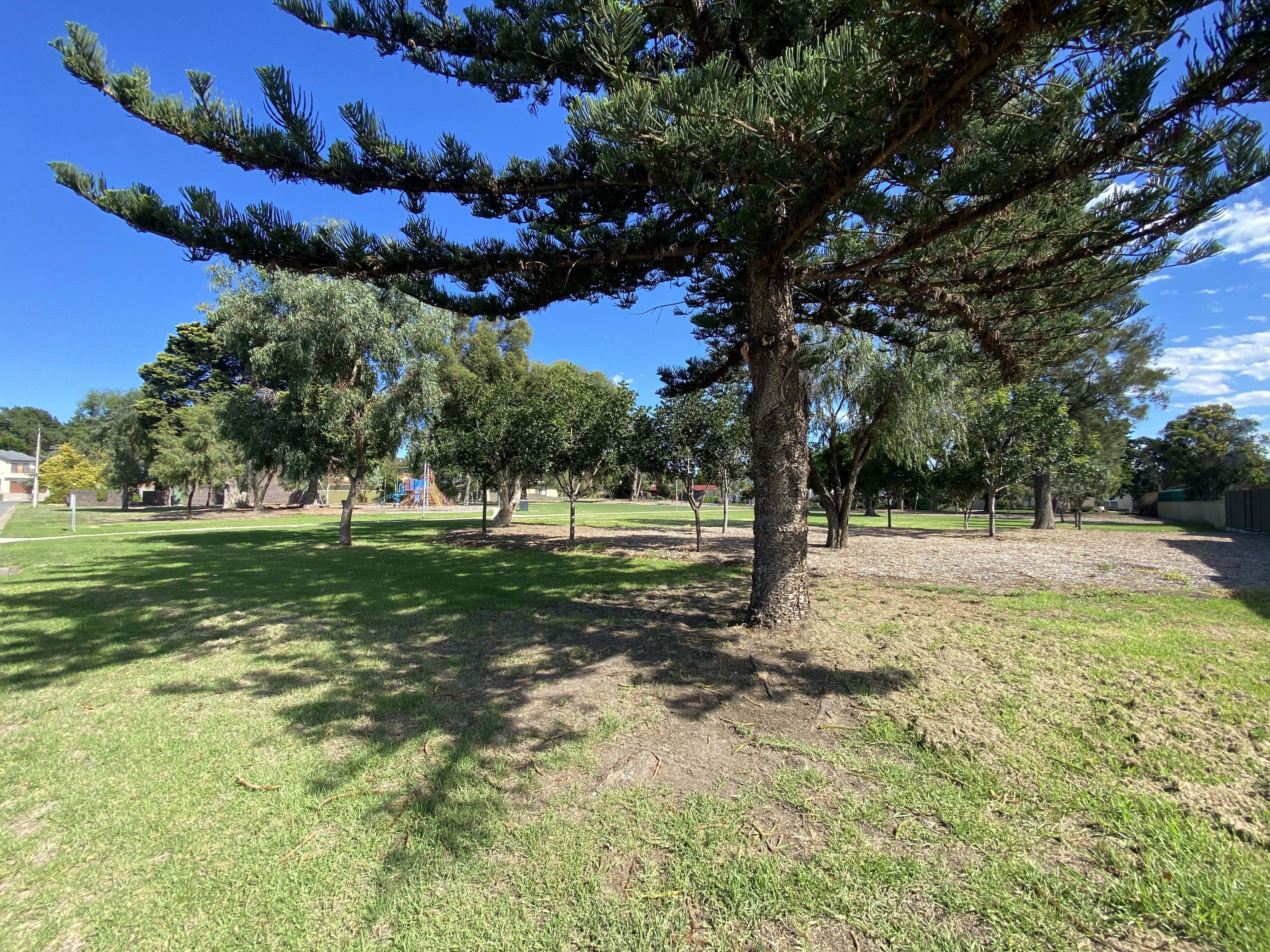 11 Pine Lodge Crescent, Grange SA 5022