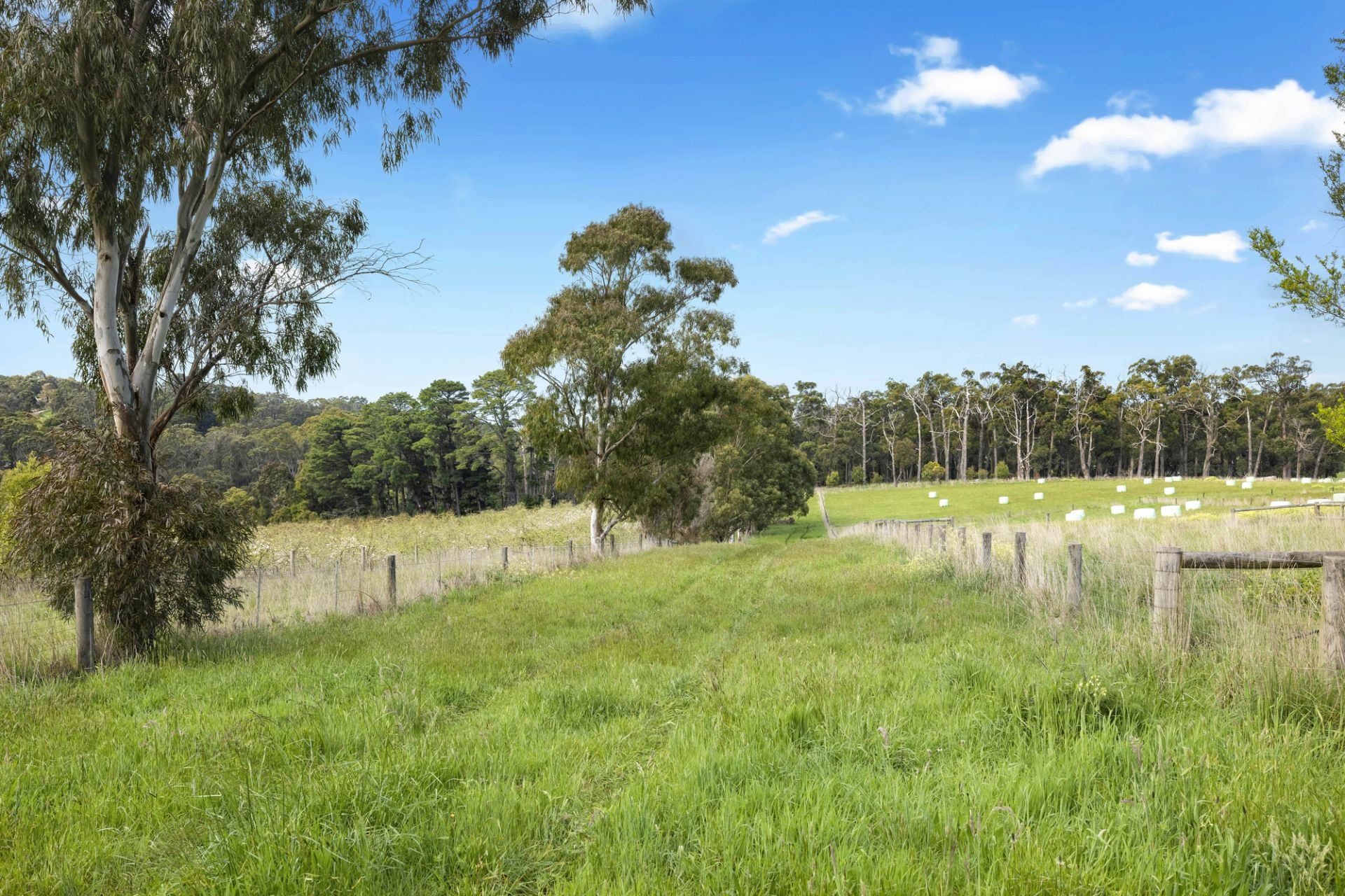 110 Stony Creek Road, Red Hill, Red Hill - Thumbnail 5