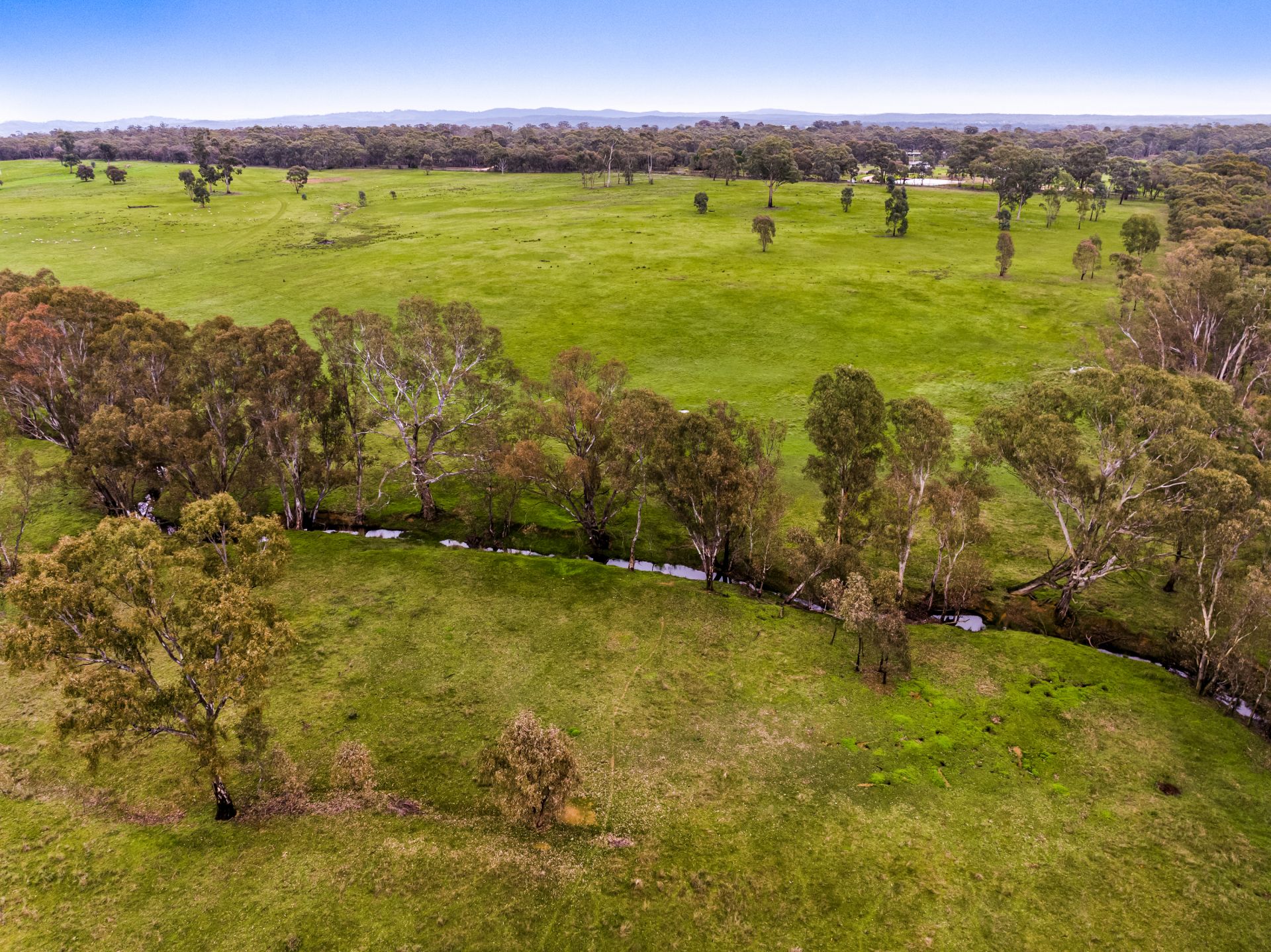 1D & 1F Cnr. Gleesons & Castles Road, Axe Creek, Axe Creek, Axe Creek - Thumbnail 5