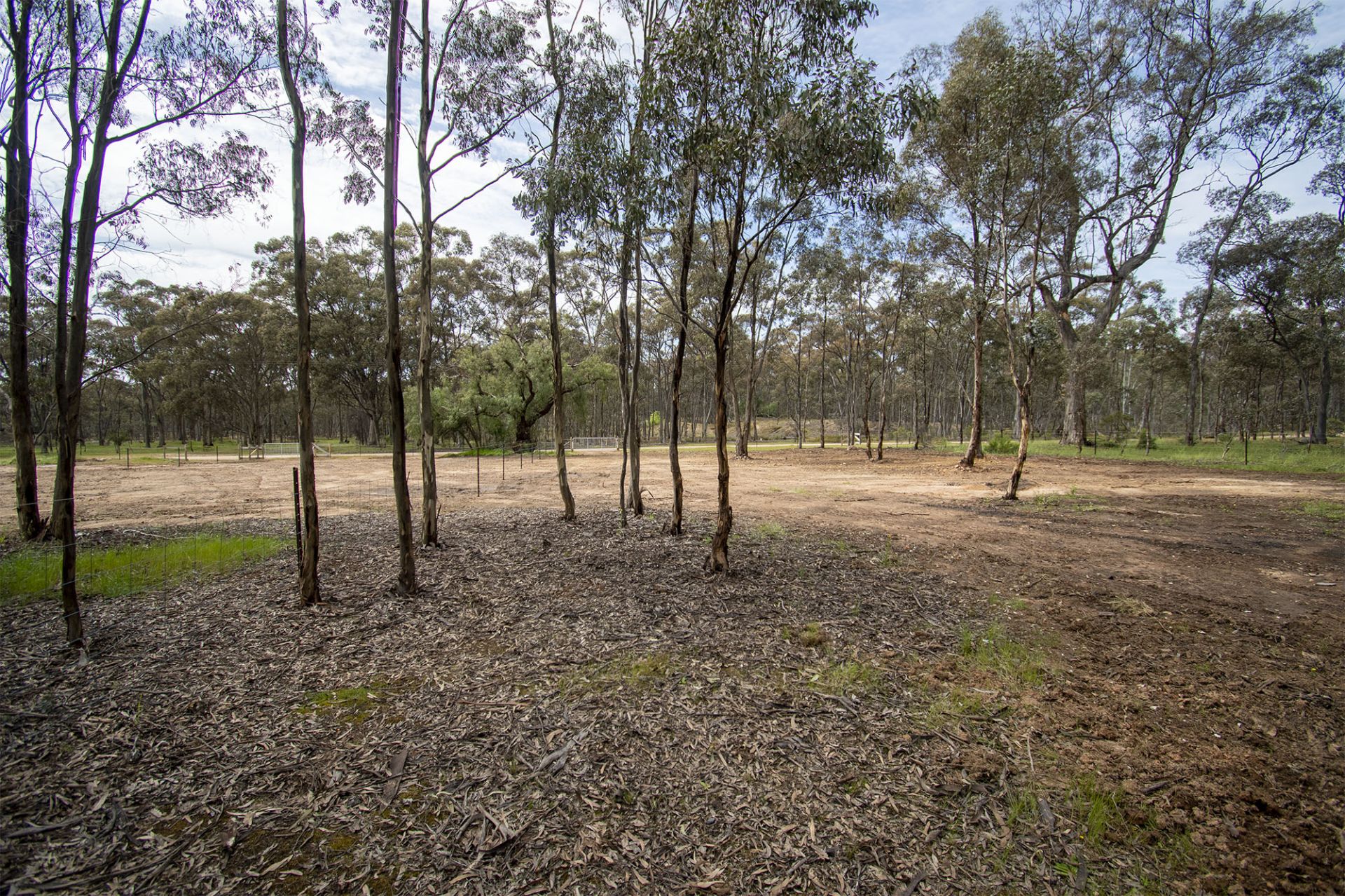 CA 10/100 Queens Birthday Mine Road Goldsborough - Via, Dunolly - Thumbnail 6