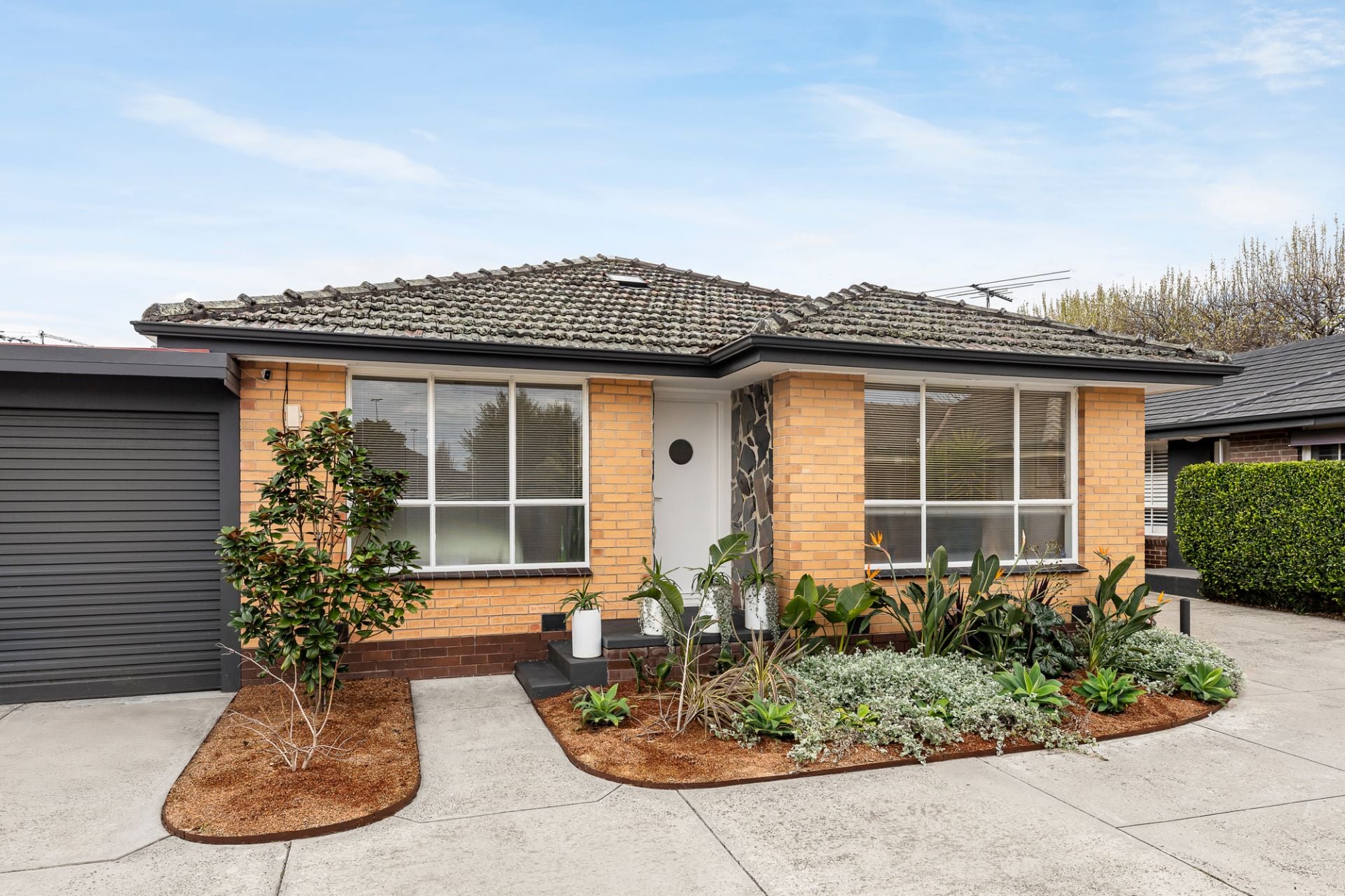 8/237 Thomas Street, Hampton, Hampton - Thumbnail 2
