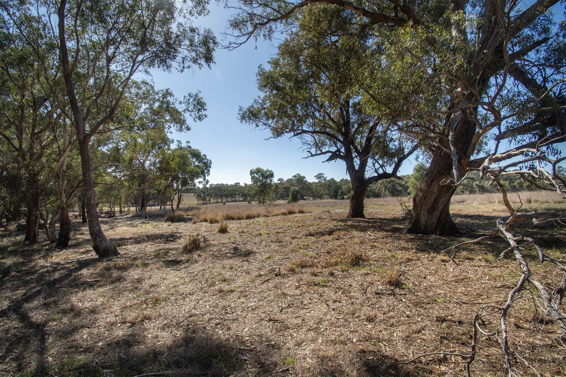 65 Hoopers Road, Mount Glasgow - Thumbnail 4