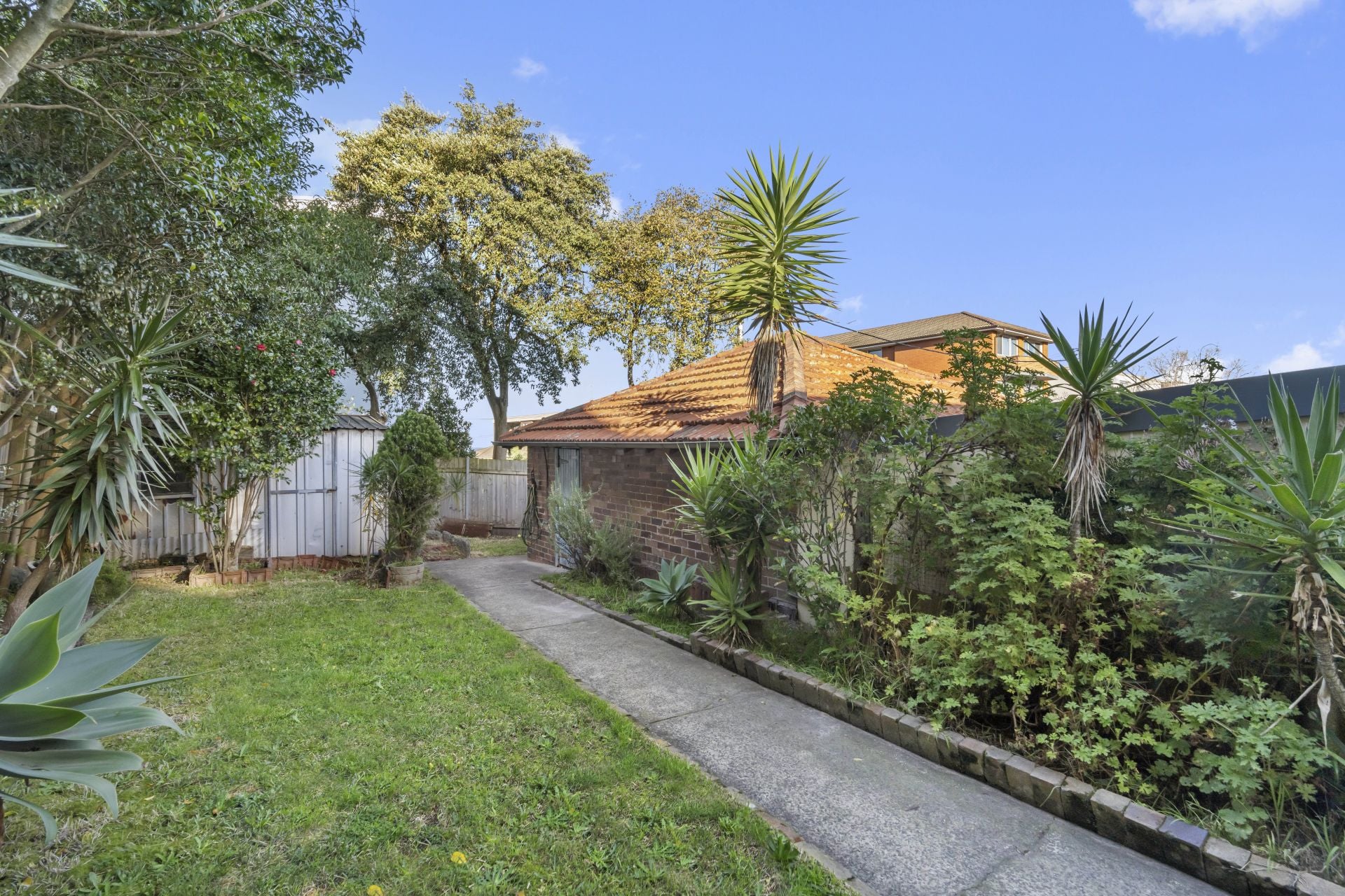 729a Old South Head Road Vaucluse NSW, Vaucluse - Thumbnail 7