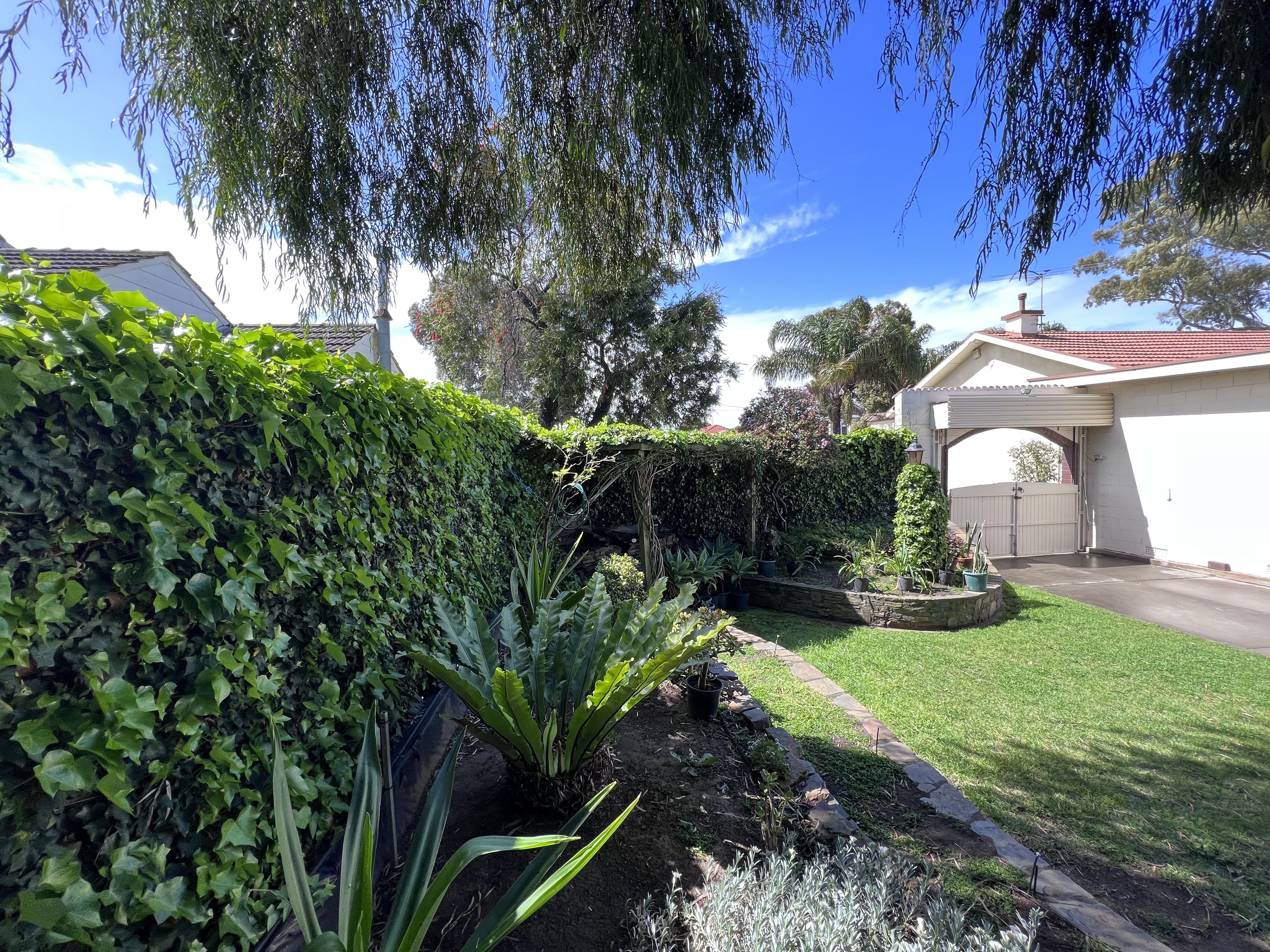 8 Torrens Ave, Lockleys SA 5032