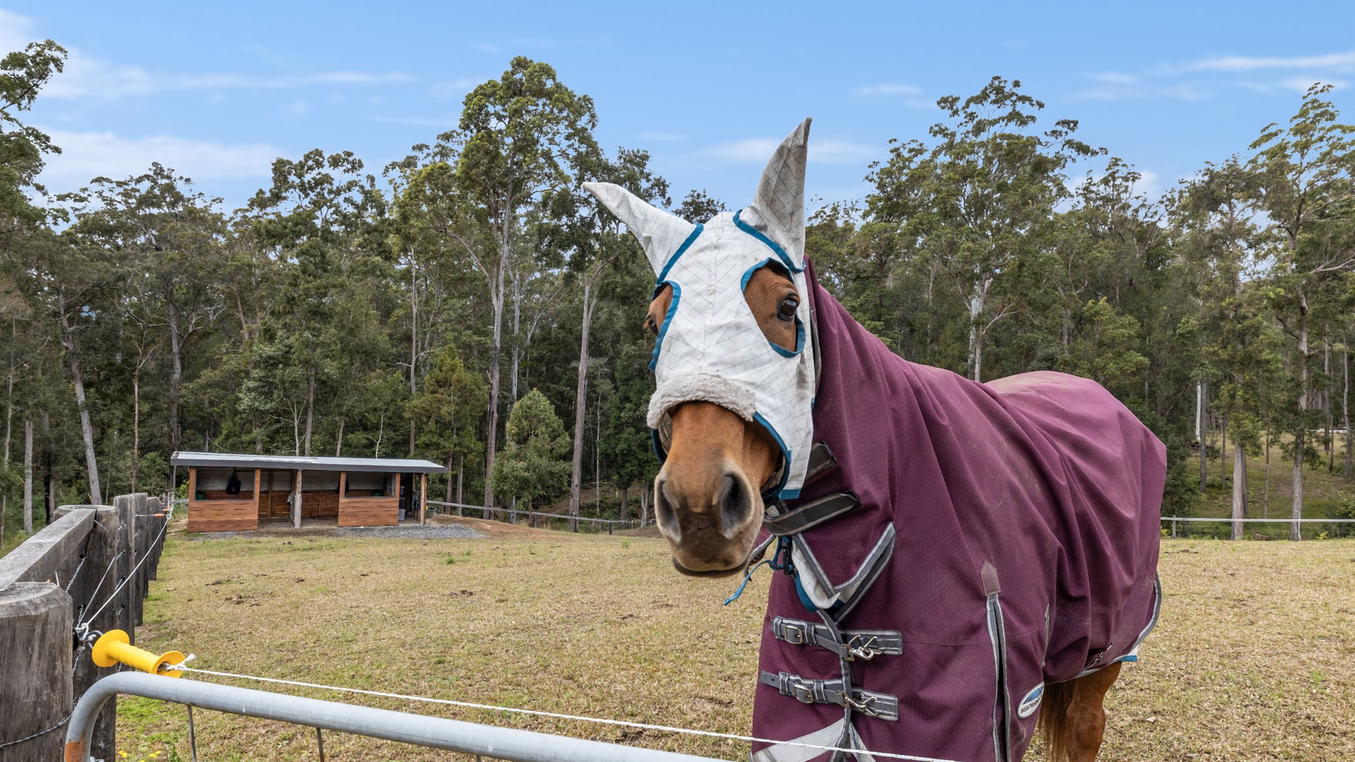 354 Brookhouse Rd, PEMBROOKE NSW 2446