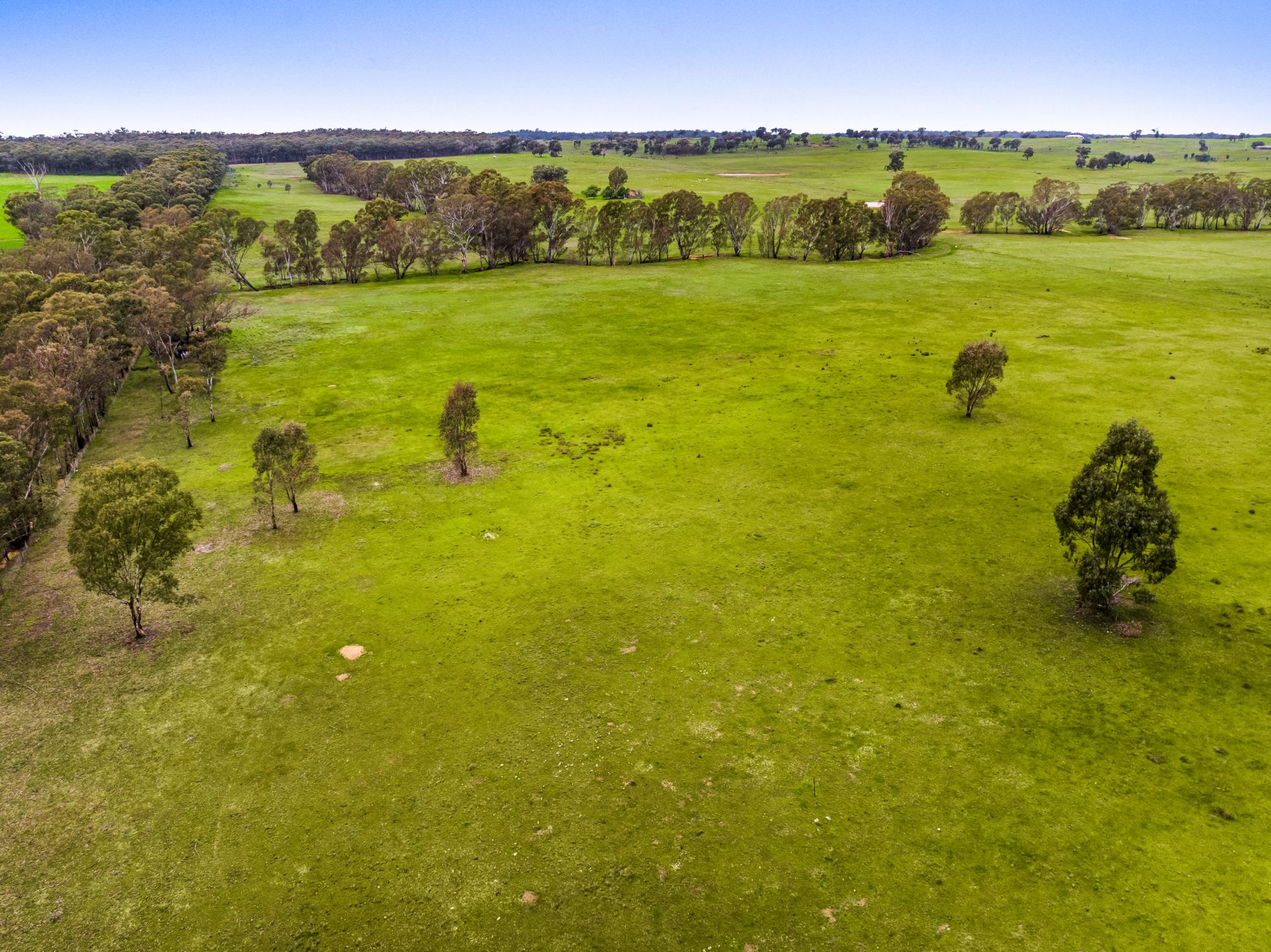 1D & 1F Cnr. Gleesons & Castles Road, Axe Creek, Axe Creek, Axe Creek - Thumbnail 4