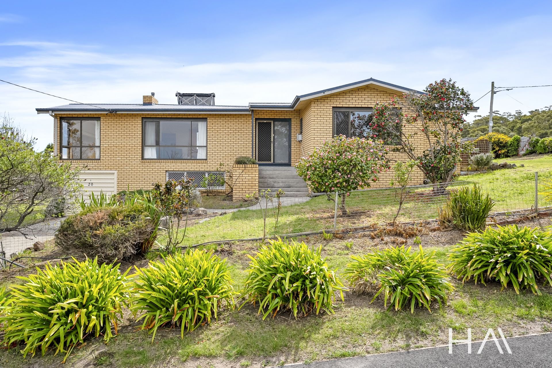 20 Risdon Street, Risdon - Image 2