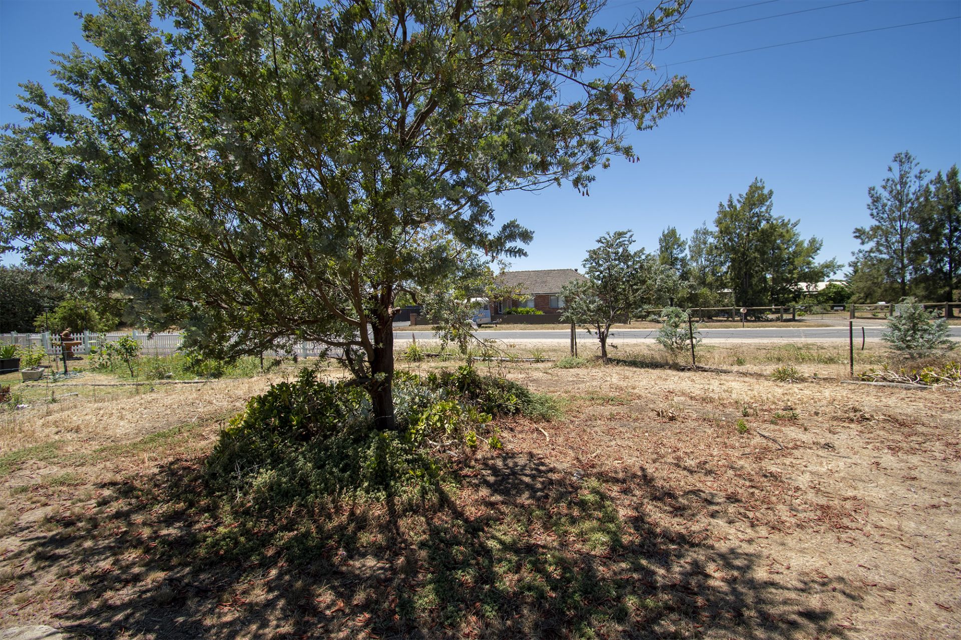 539 Timor Rd Bowenvale Via Road, Bowenvale - Thumbnail 8