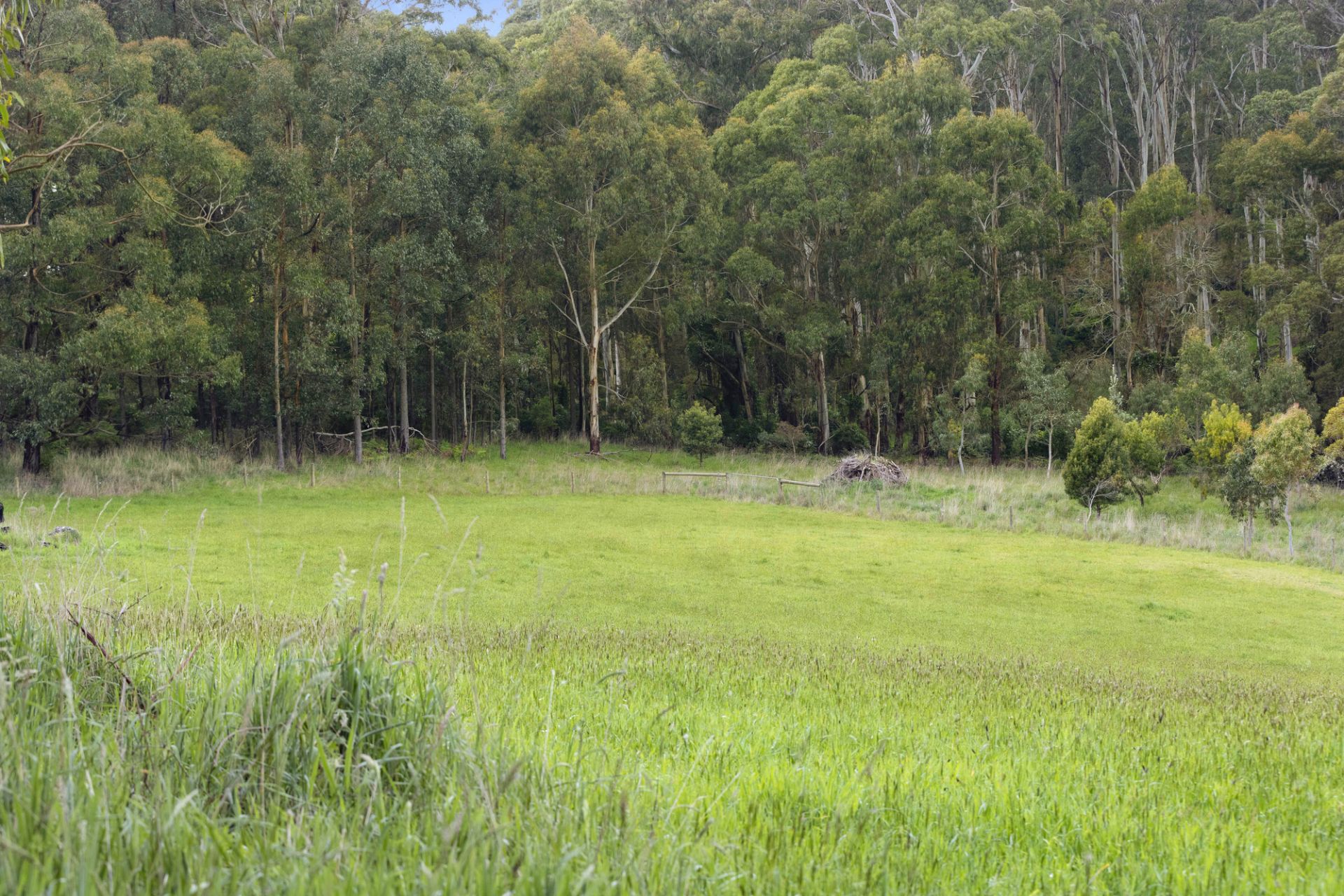 110 Stony Creek Road, Red Hill, Red Hill - Thumbnail 7