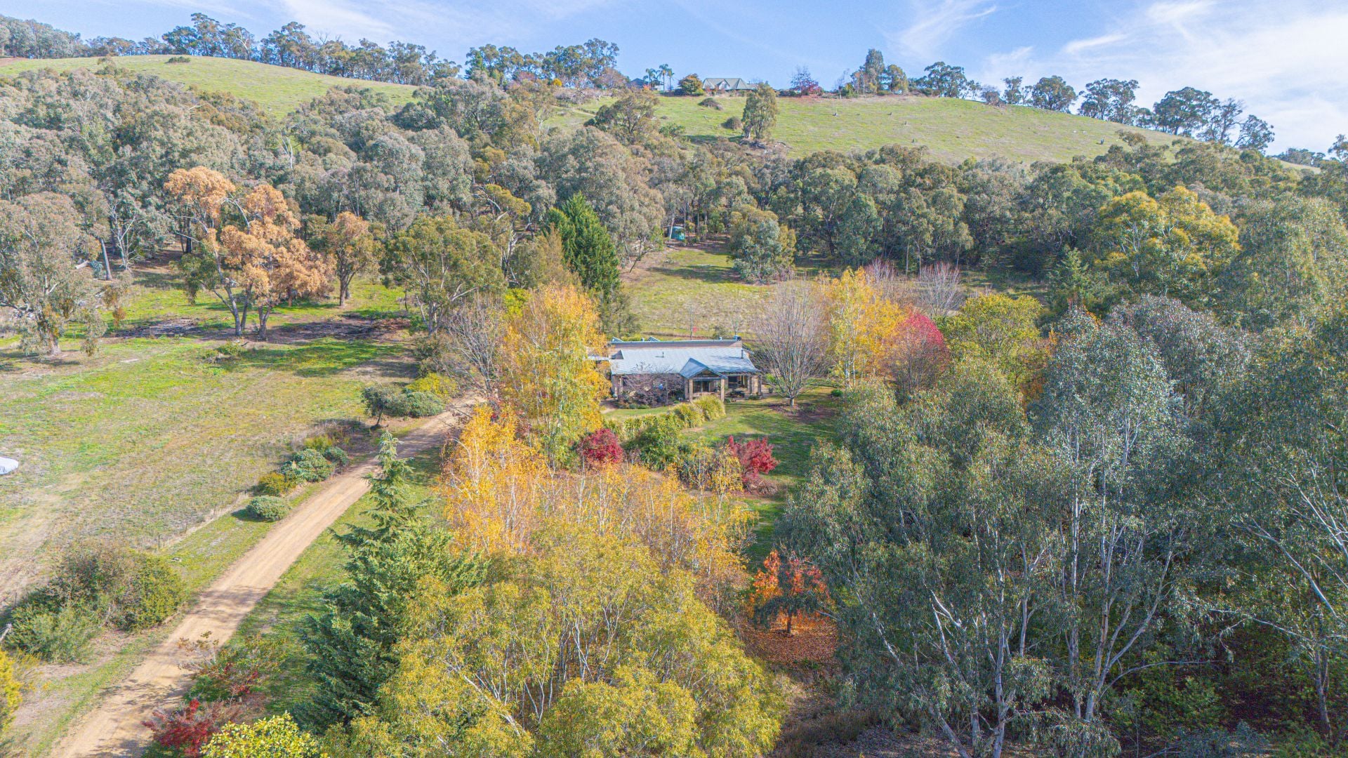 142 Buffalo Creek Road, MYRTLEFORD, Myrtleford - Thumbnail 3