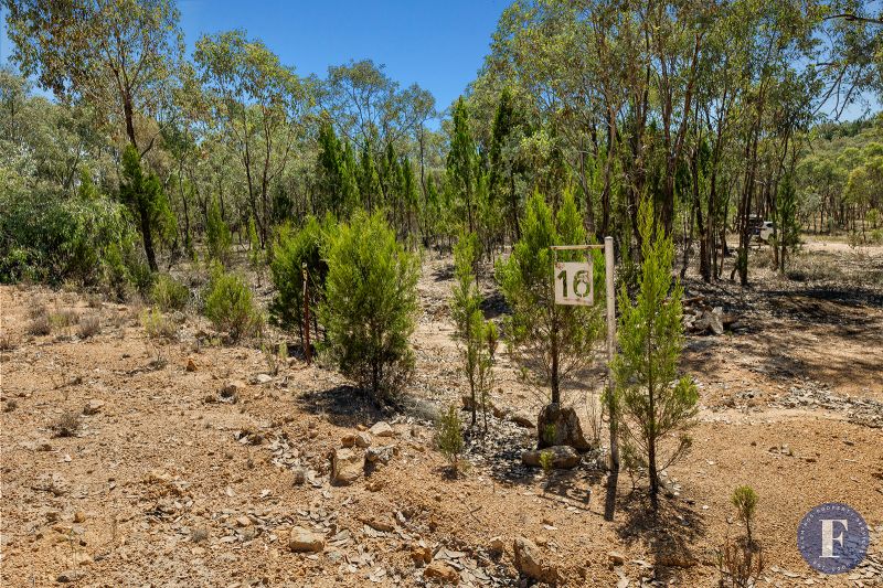 16 Caringa Road, Godfreys Creek NSW, Godfreys Creek - Thumbnail 3