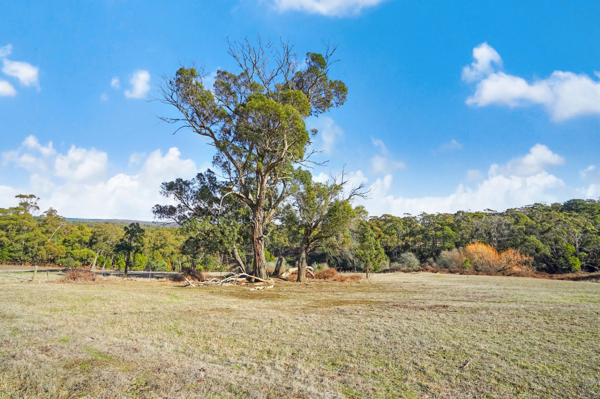 141 Smokeytown Road, Springmount, Springmount - Thumbnail 8