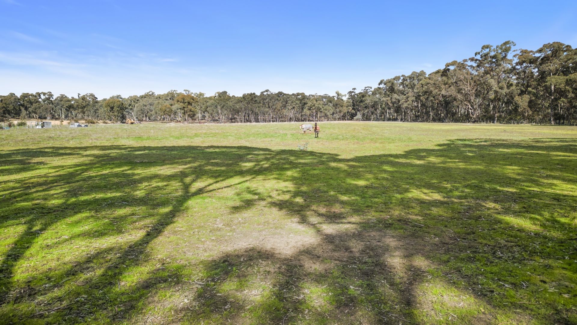 73 Crameri Road, Carisbrook - Thumbnail 3