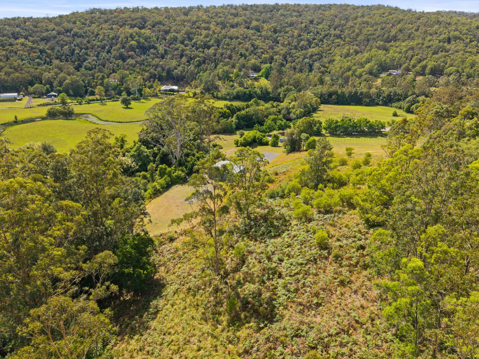 46 Glenola Farm Lane, Yarramalong NSW, Yarramalong - Thumbnail 8