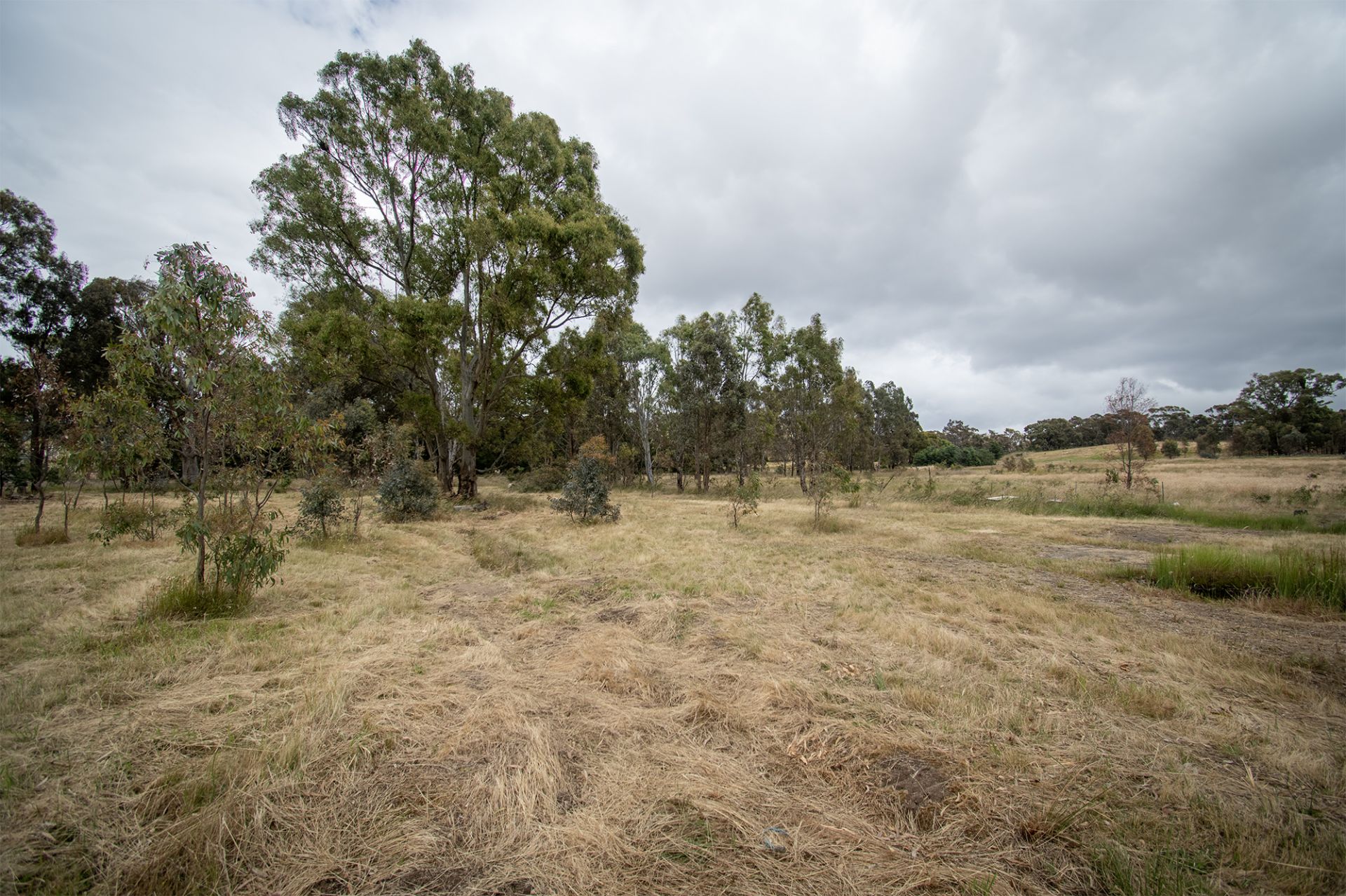 Lot 4,  Moyreisk-Redbank Road, Redbank, Moyreisk-Redbank Road - Thumbnail 8
