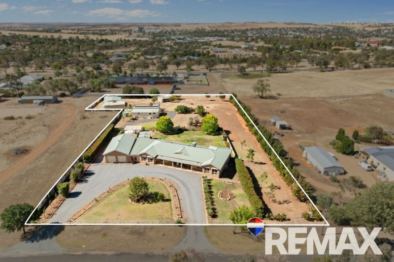 JUNEE 93 Wardle Street