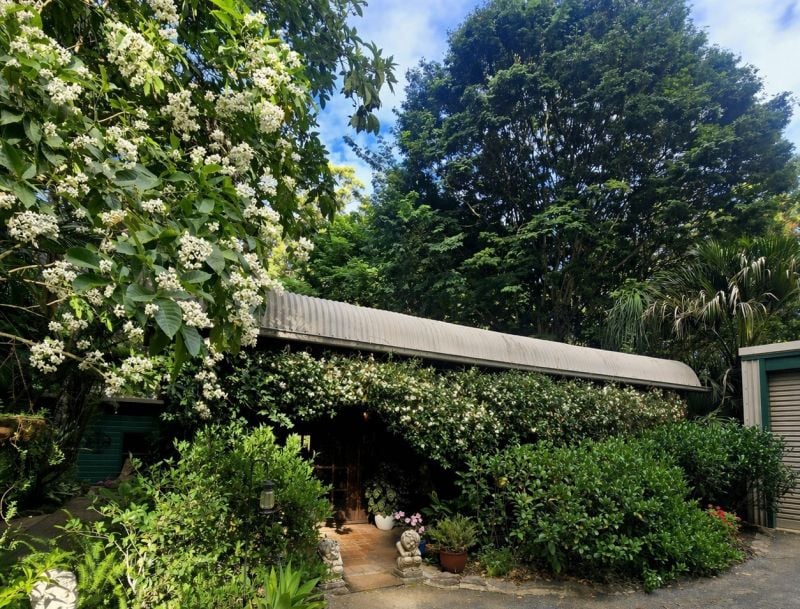 Secluded 12.38ha Lifestyle Adjoining Bongil Bongil National Park