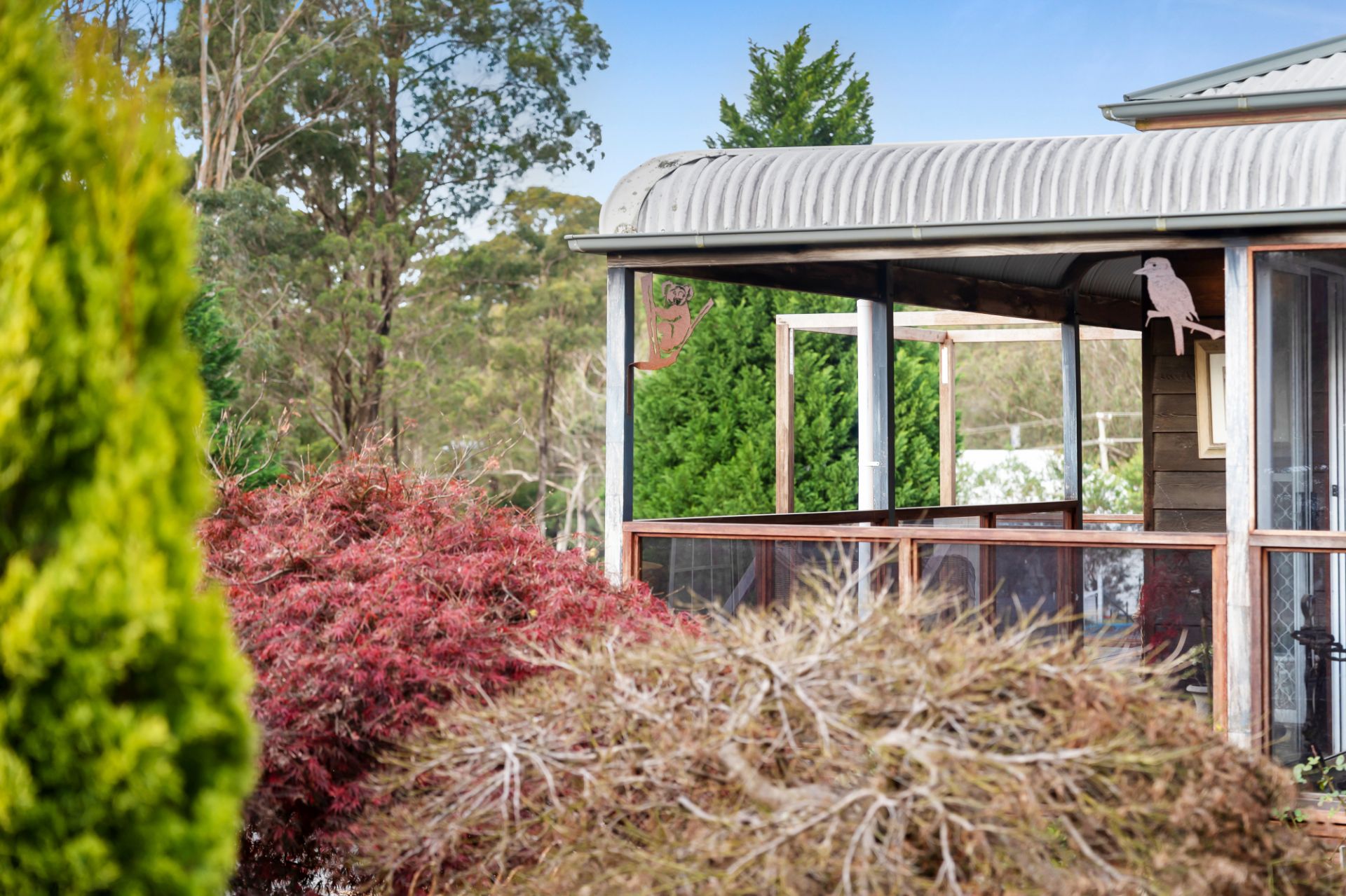 1 Jasmine Street, Colo Vale, Colo Vale - Thumbnail 4