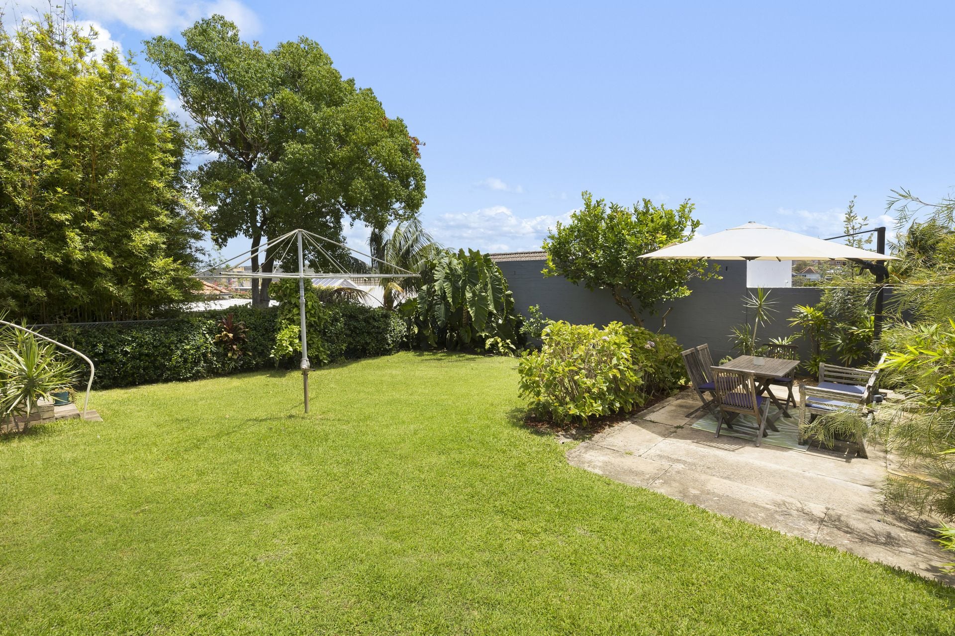 21 Carey Street, Manly, Manly - Thumbnail 5